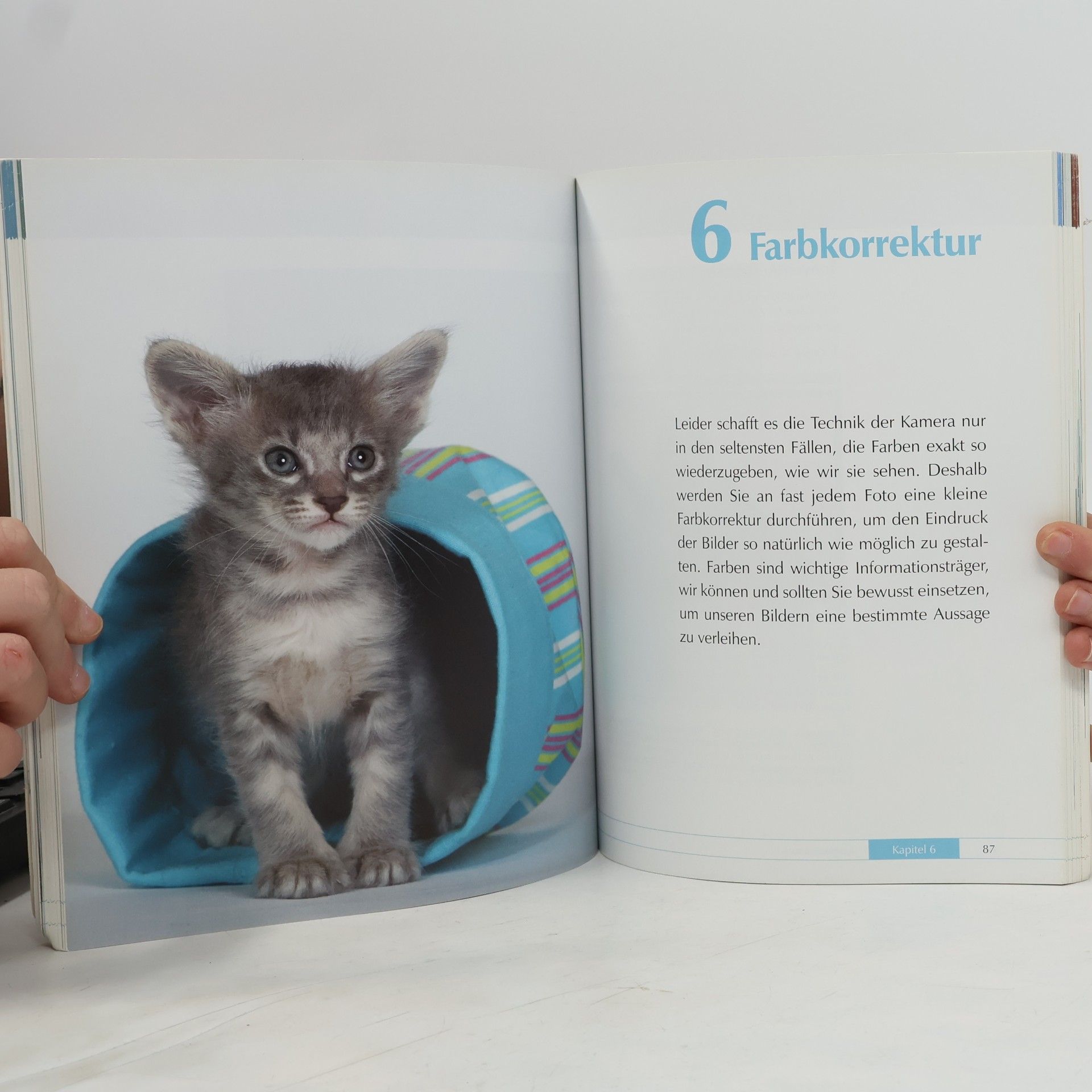 Jana Weichelt Katzen digital fotografieren