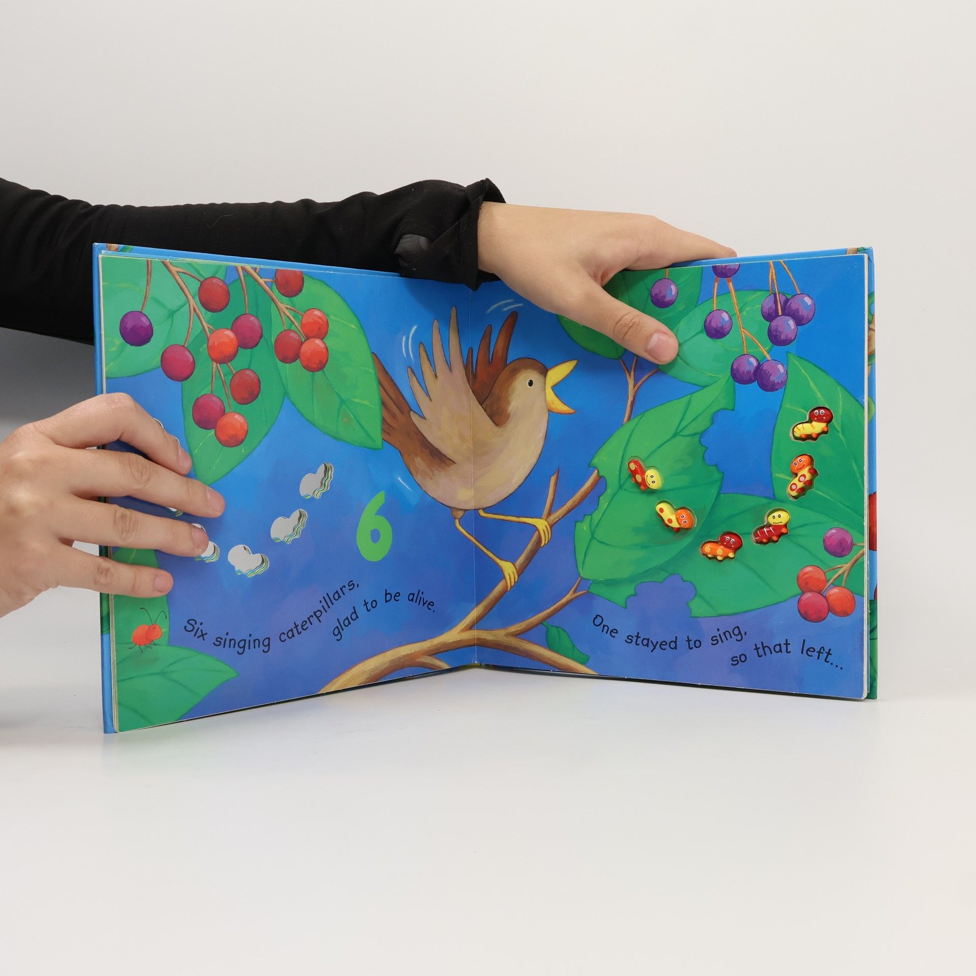 Debbie Tarbett Ten Wriggly Wiggly Caterpillars