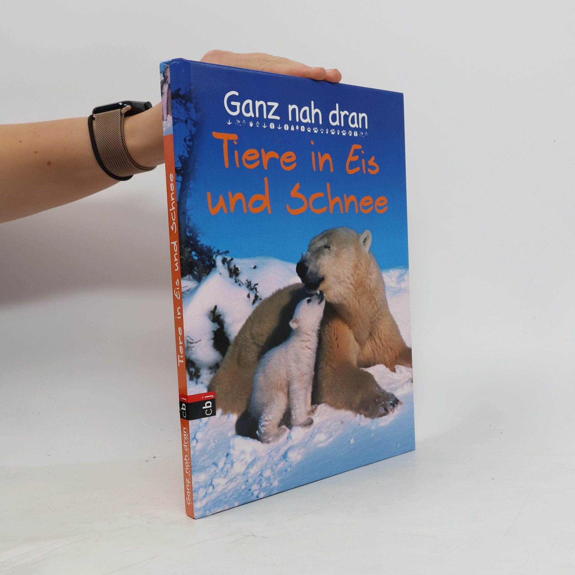 Tiere in Eis und Schnee