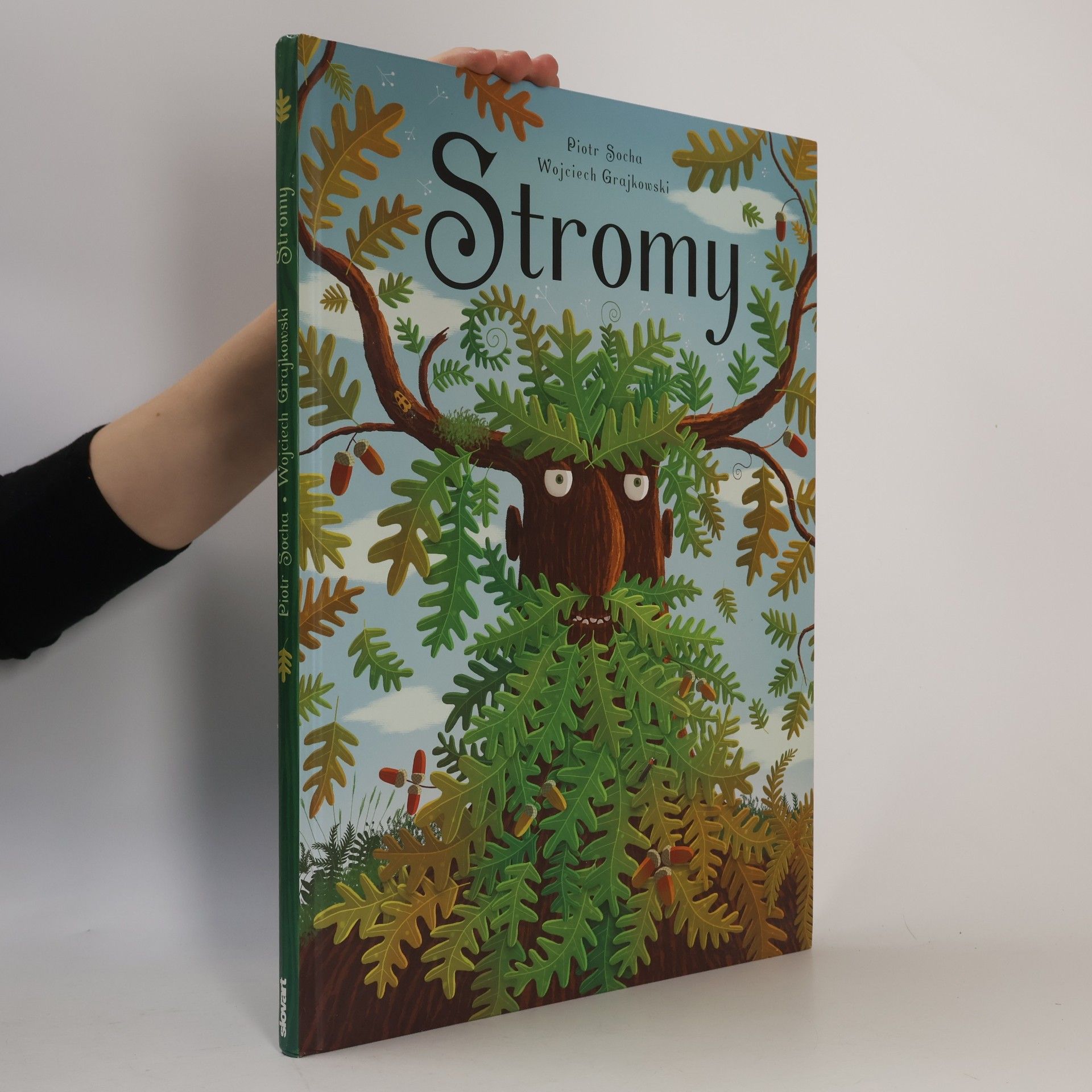 Stromy
