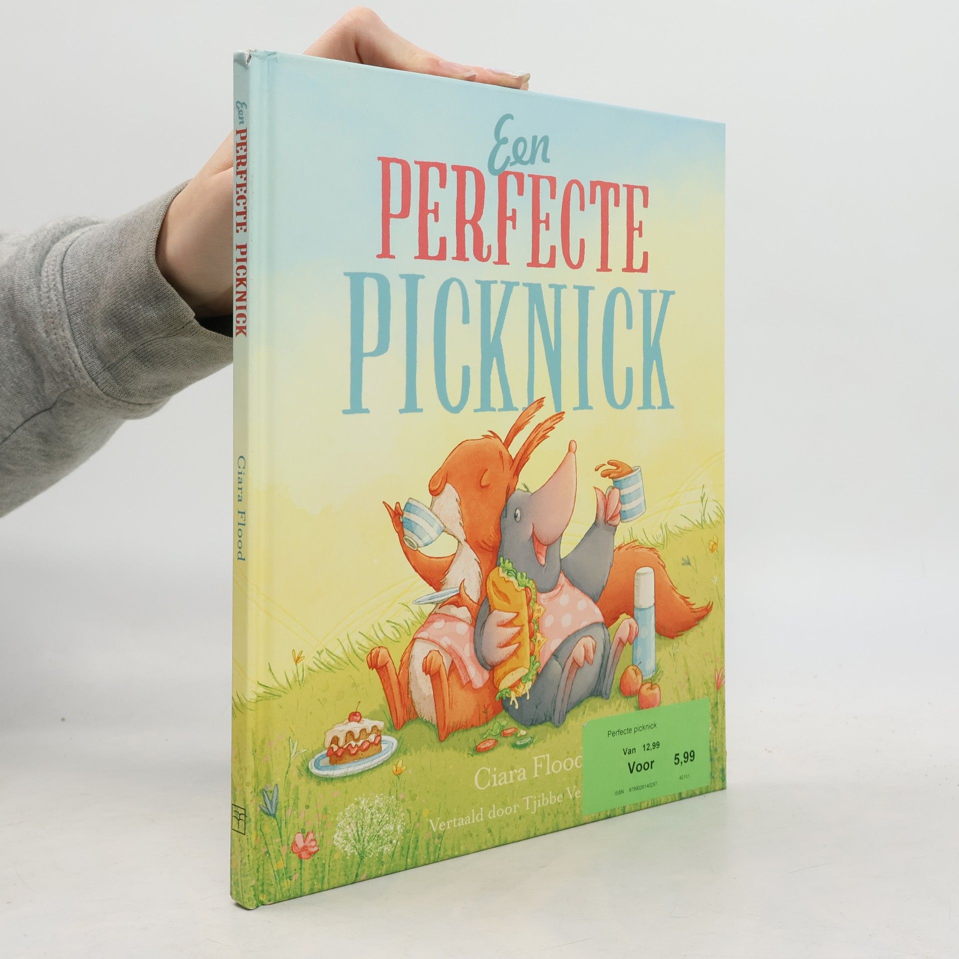 Een perfecte picknick