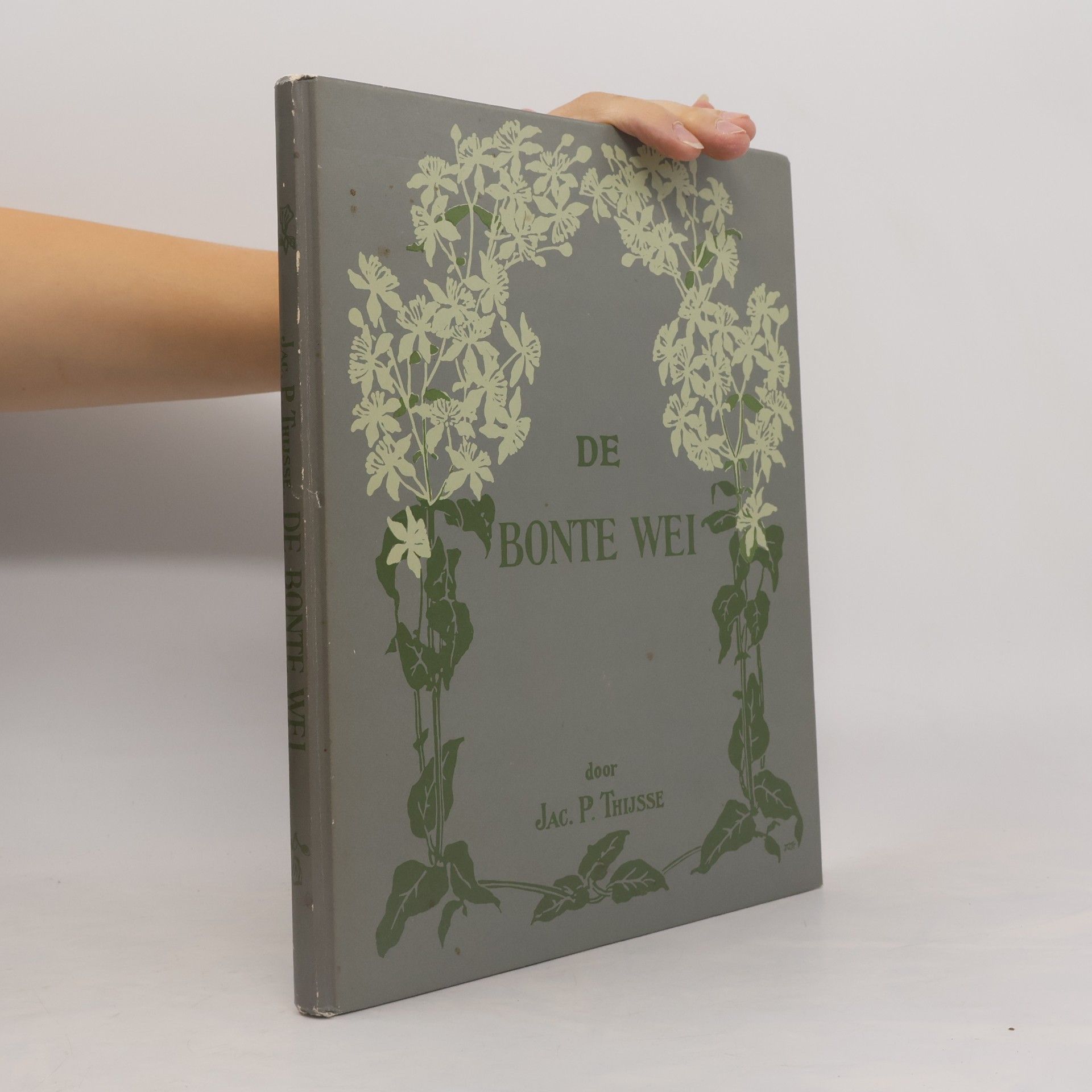 De bonte wei