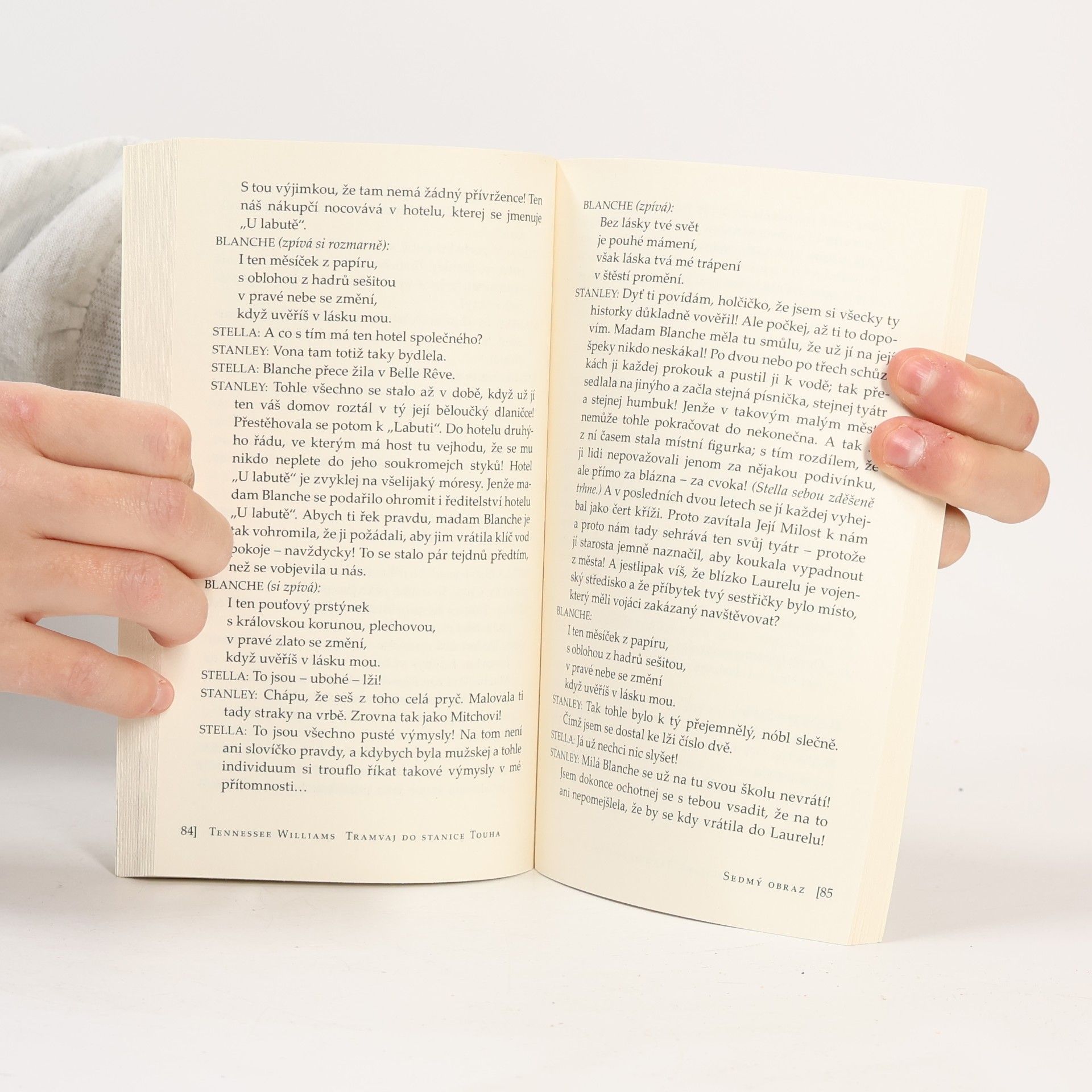 Tennessee Williams Tramvaj do stanice Touha