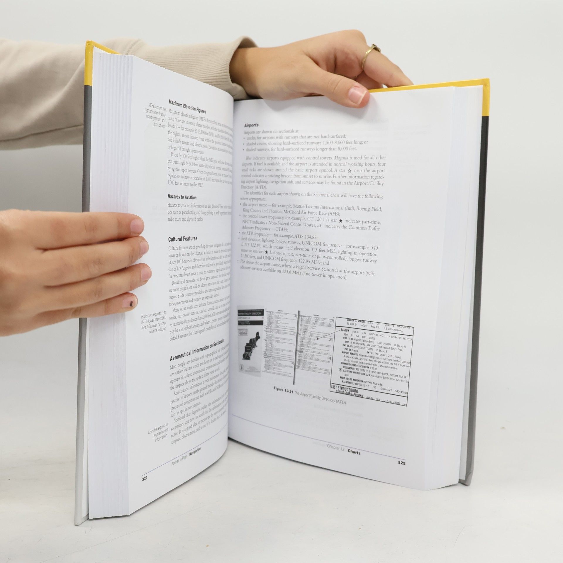 Alan Klapmeier The Pilot's Manual: Access to Flight
