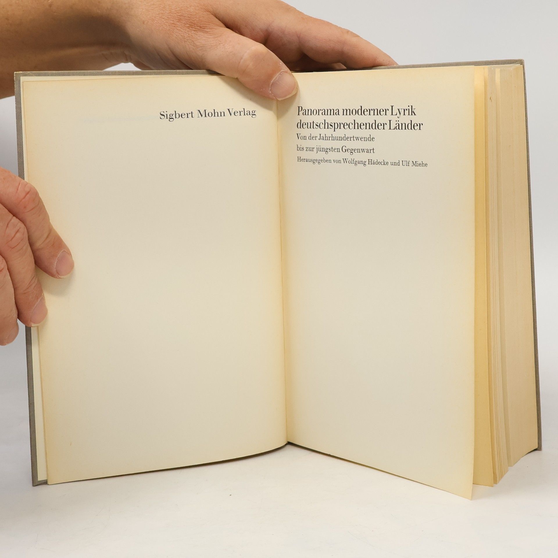 Various authors Panorama moderner Lyrik deutsch sprechender Länder