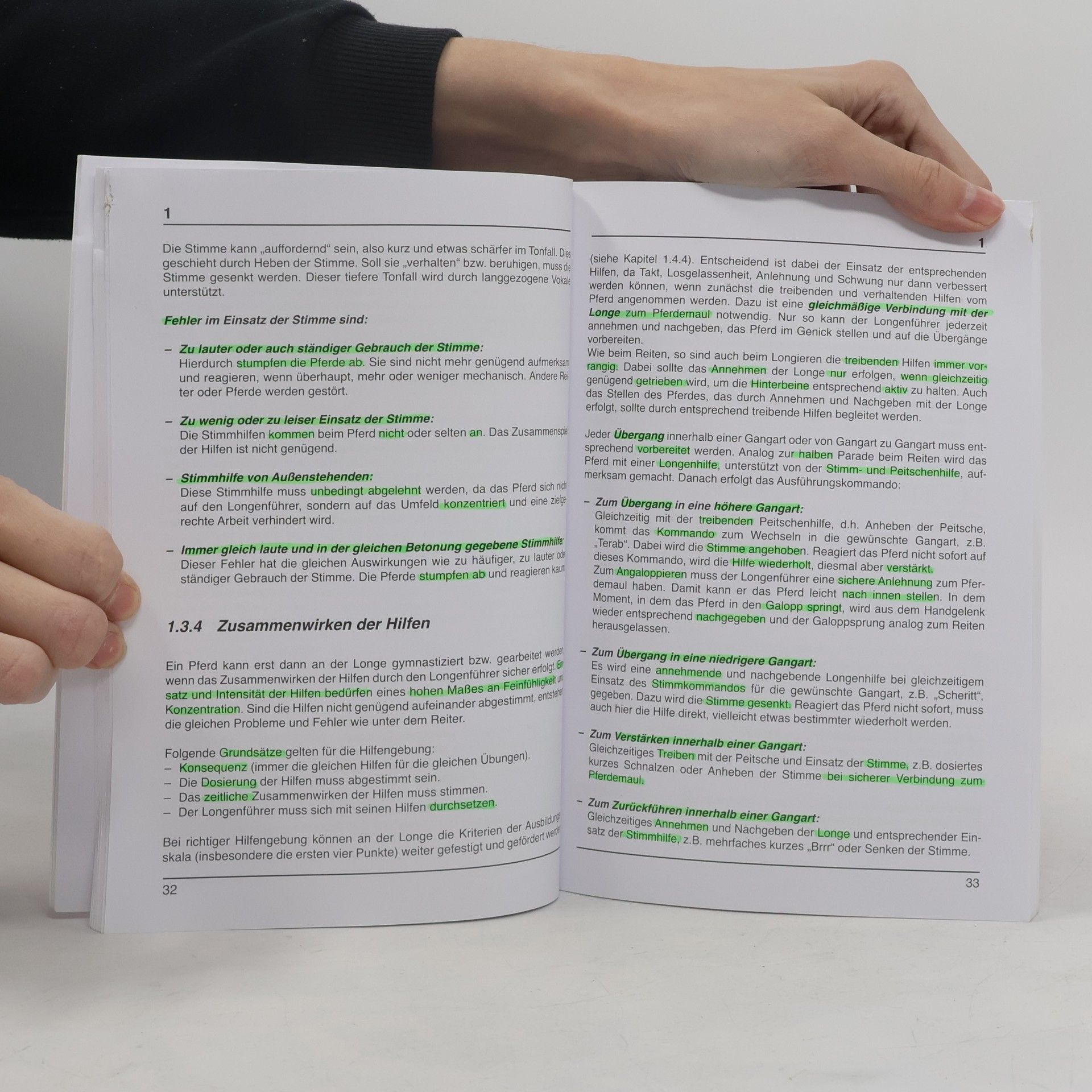 Autorenkollektiv Richtlinien für Reiten und Fahren