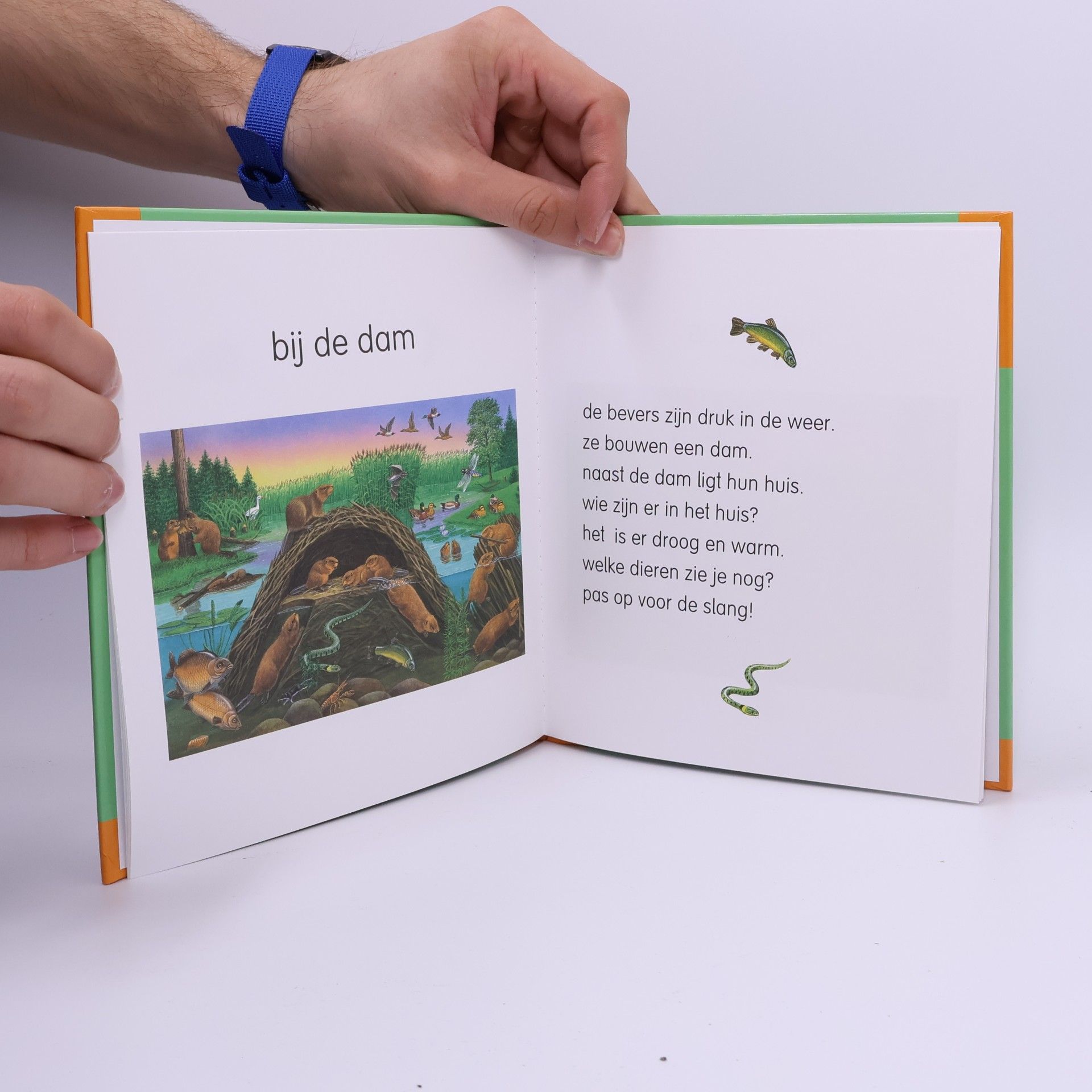 Kelly Mortelmans Bij de dieren
