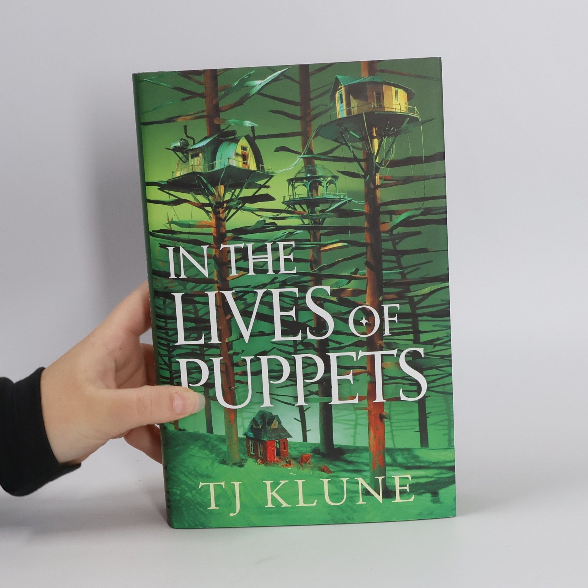 In The Lives Of Puppets