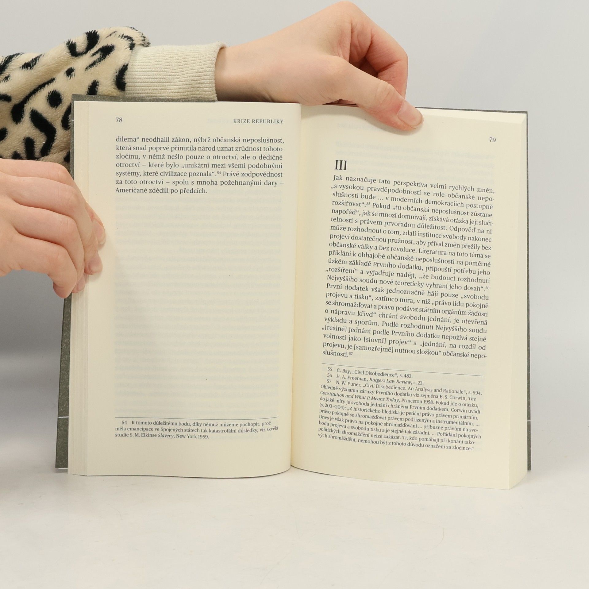 Hannah Arendt Krize republiky
