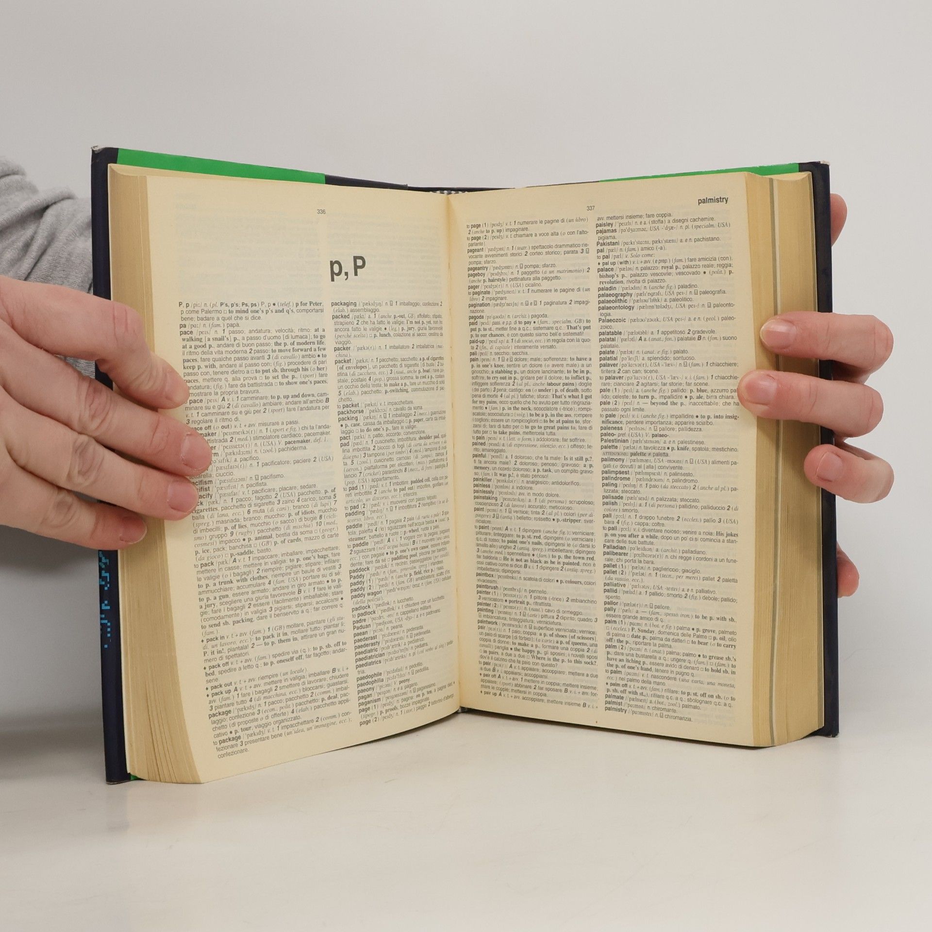 Autorenkollektiv Italian Dictionary
