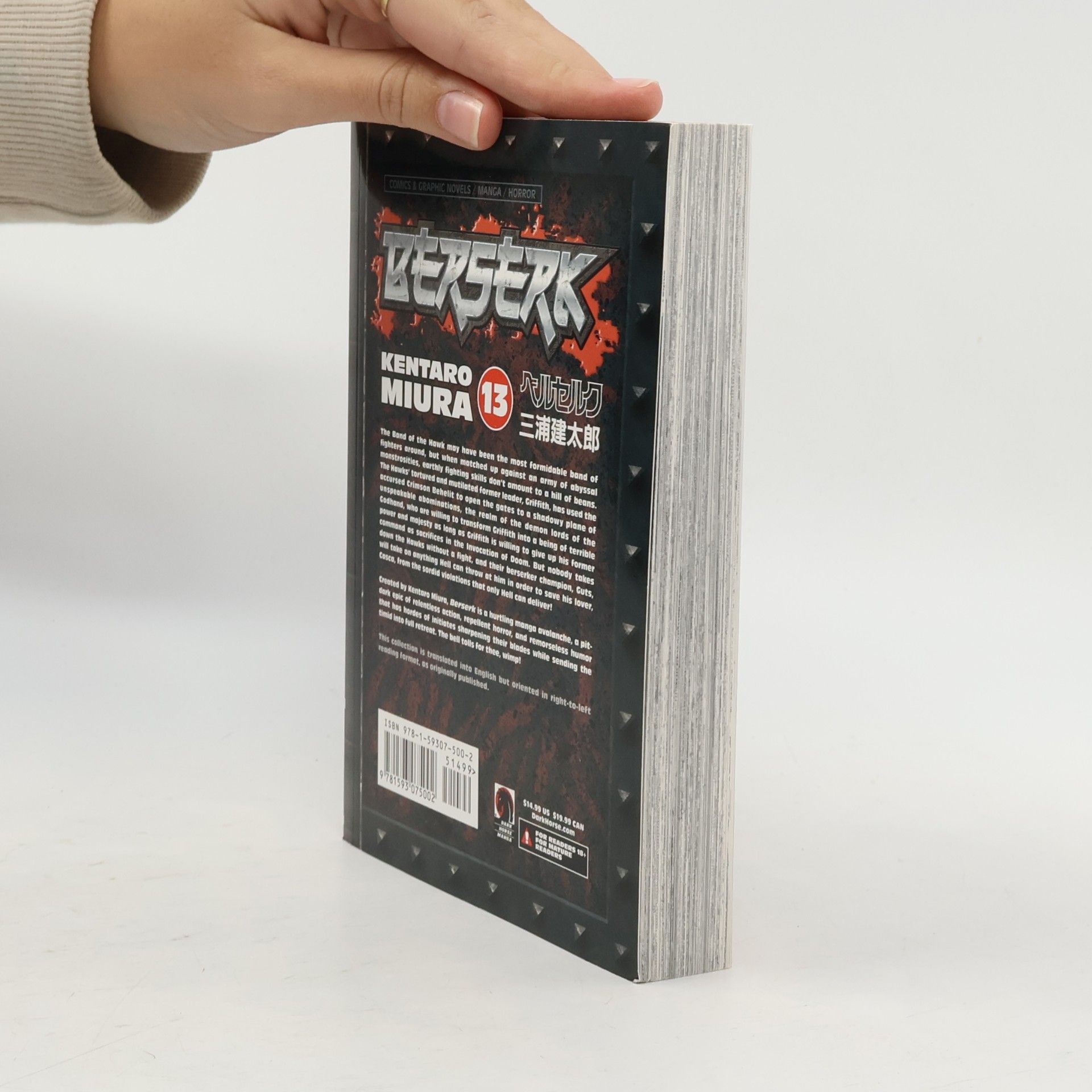 Kentaro Miura Berserk Volume 13