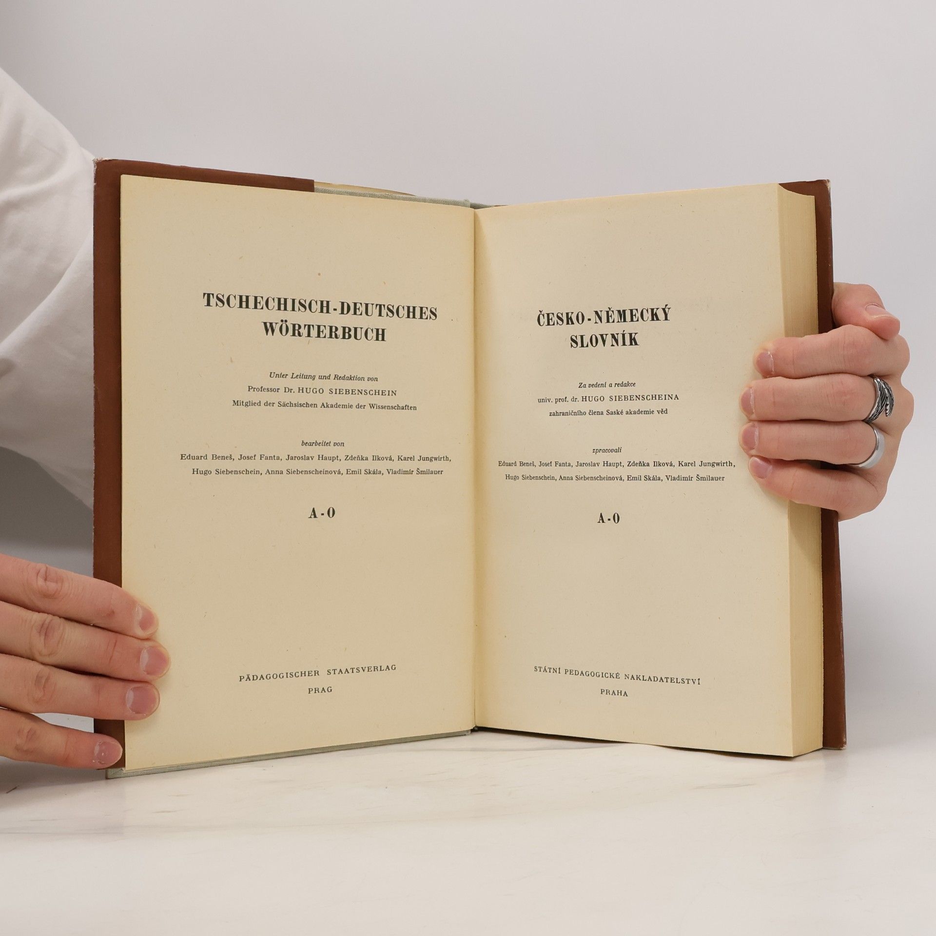 Autorenkollektiv Česko německý slovník I. A-O