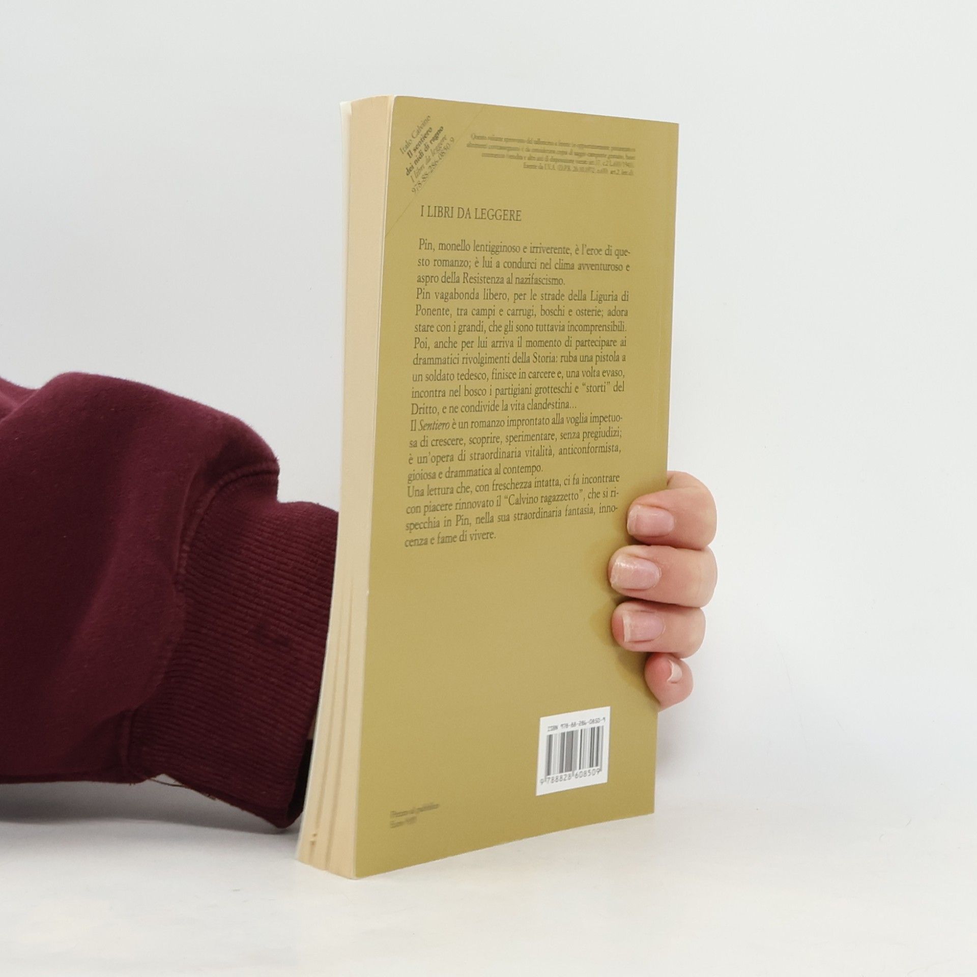 Italo Calvino Il sentiero dei nidi di ragno
