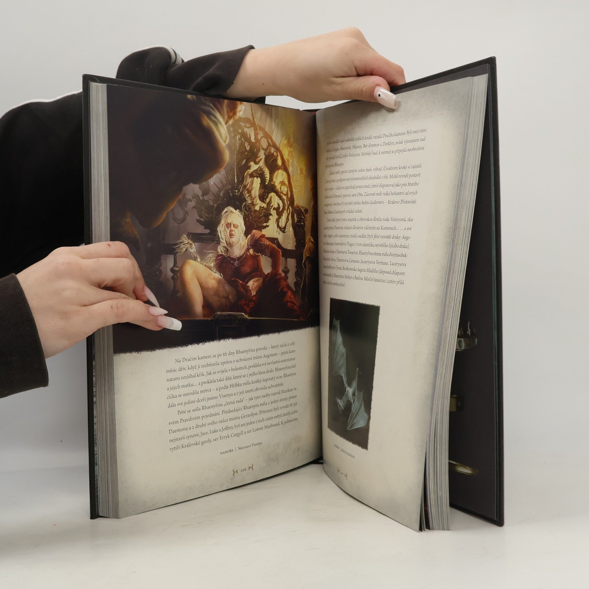 Petr Kotrle Vzestup draka. Ilustrovaná historie rodu Targaryenů