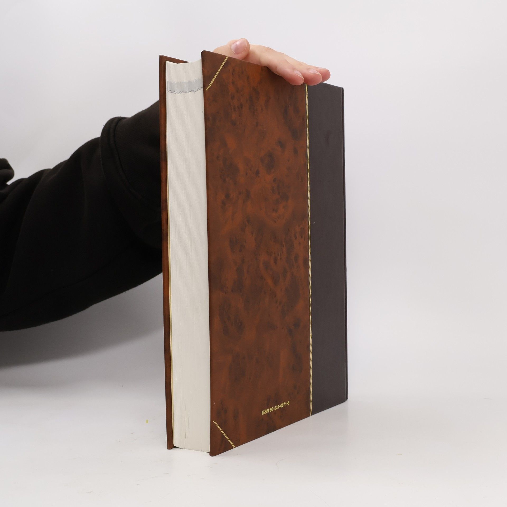 kolektiv Encyclopaedia Beliana 2