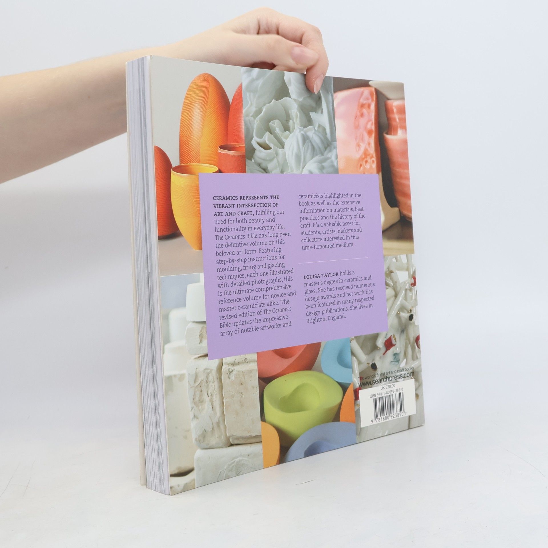 Louisa Taylor The Ceramics Bible - Revised Edition