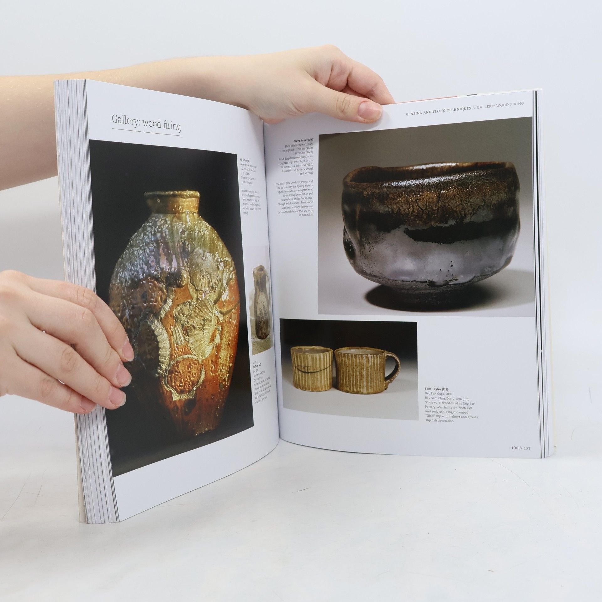 Louisa Taylor The Ceramics Bible - Revised Edition