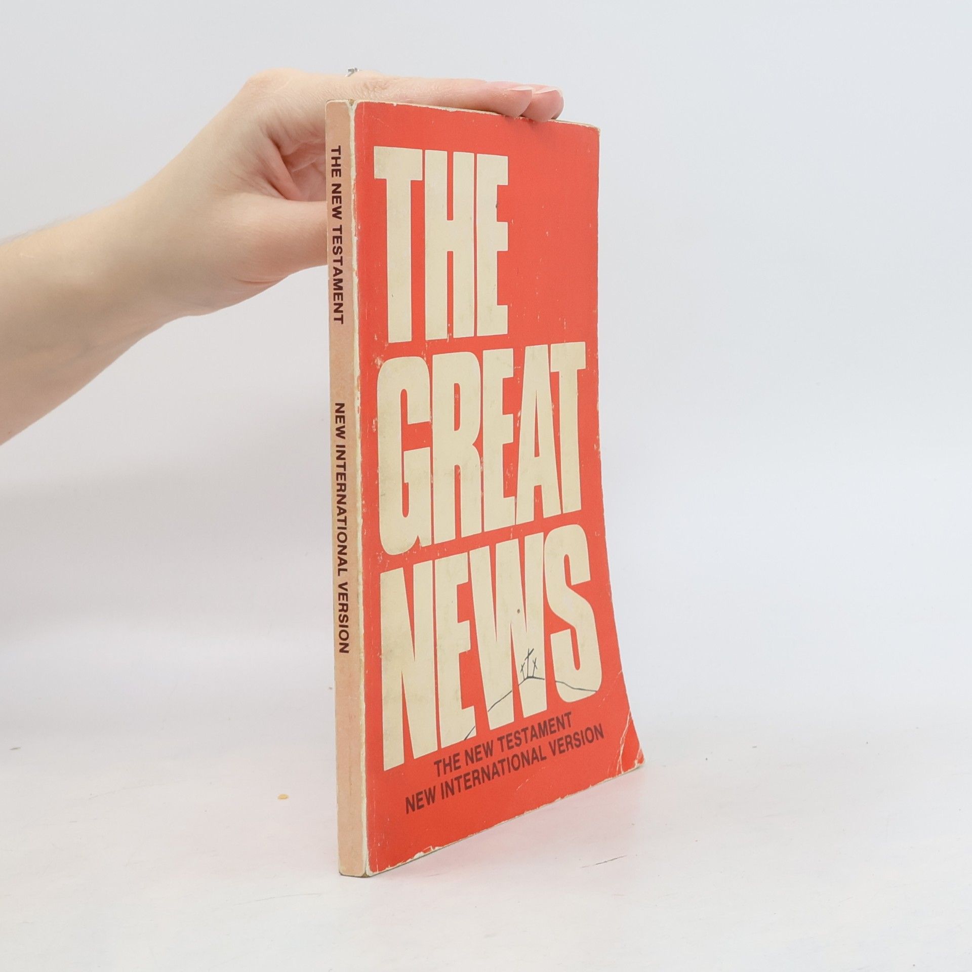 Alan Hering The Great News. The New Testament. New International Version