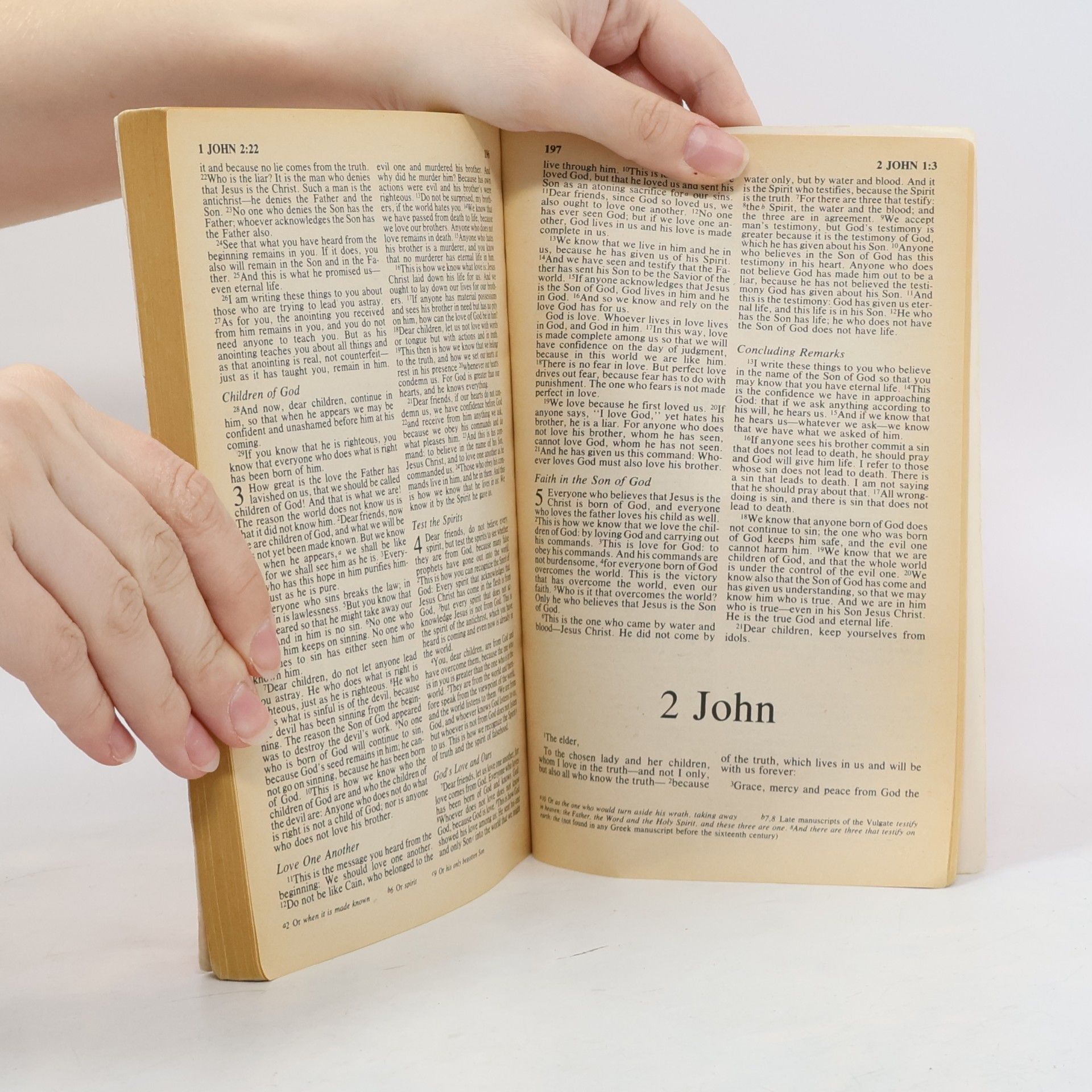 Alan Hering The Great News. The New Testament. New International Version