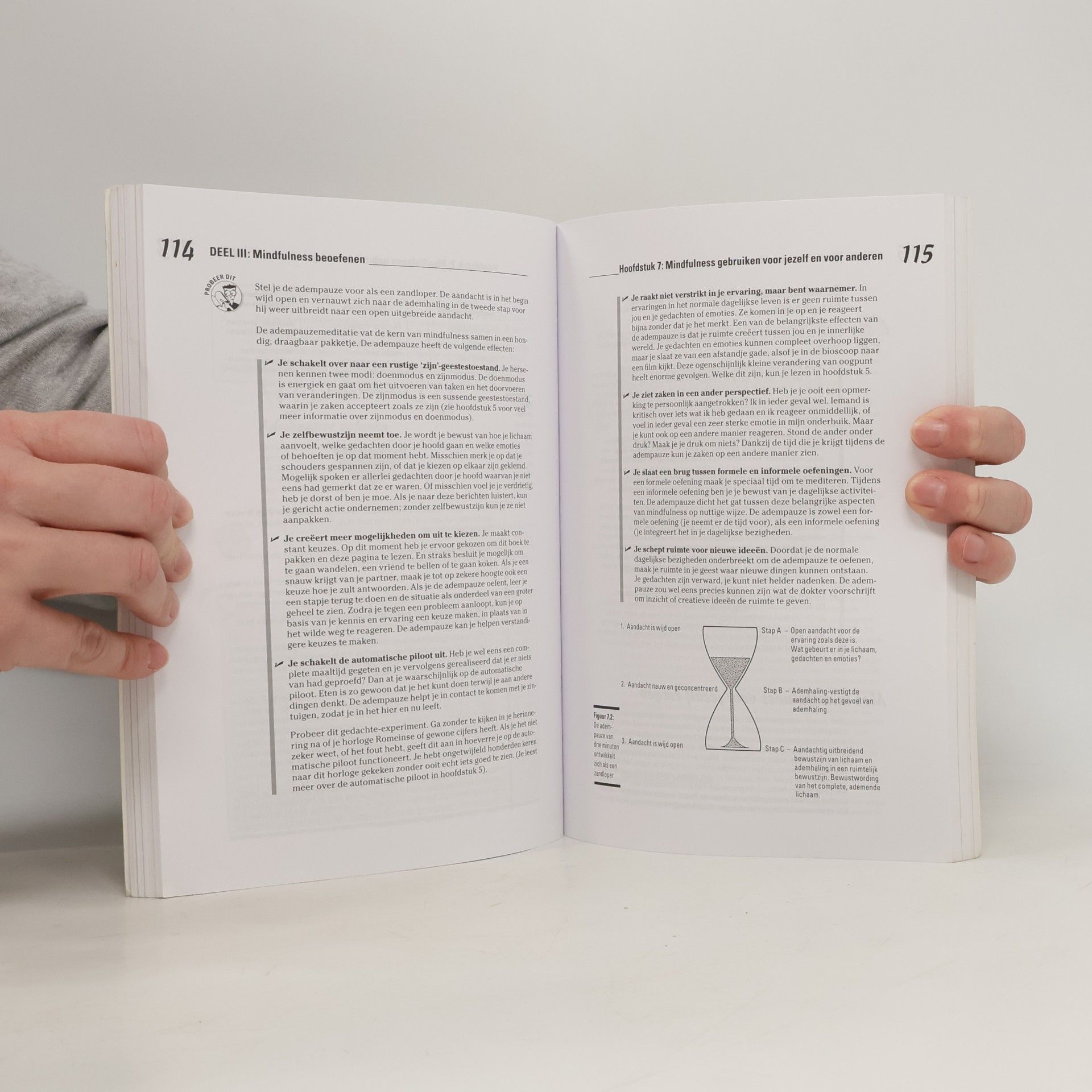 Shamash Alidina Mindfulness voor Dummies met Audio CD