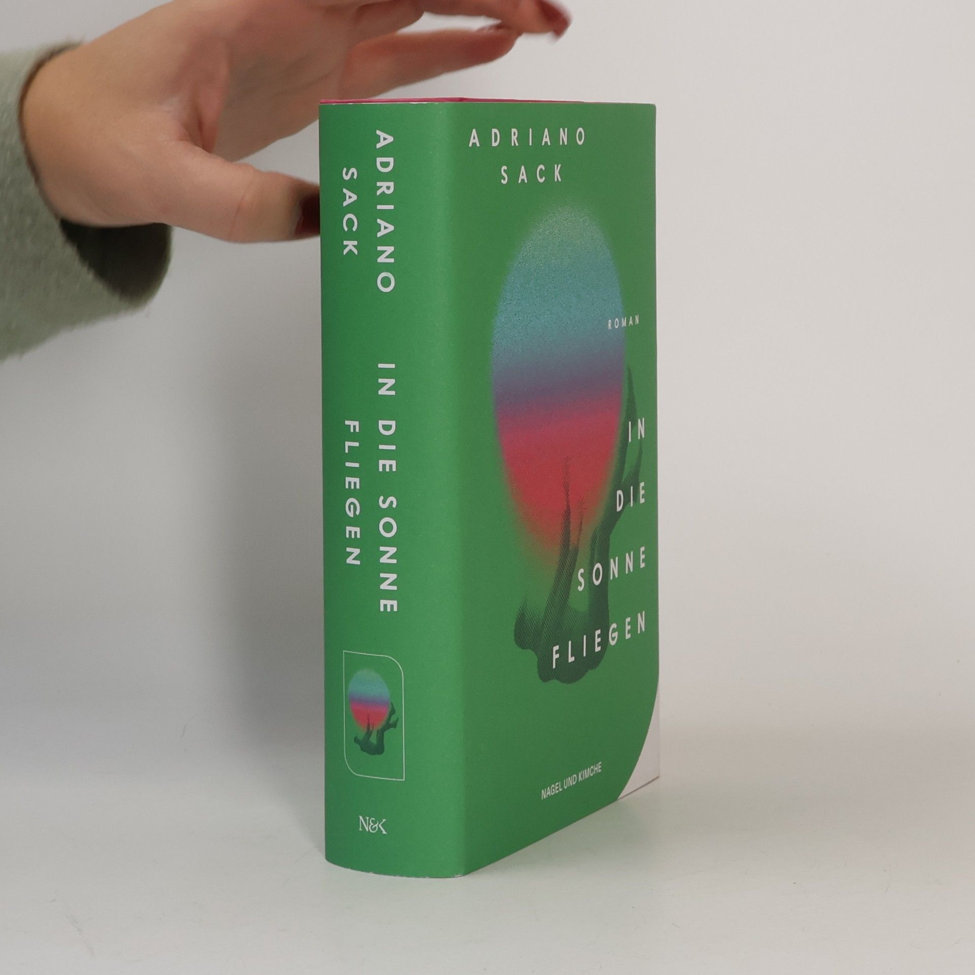 In die Sonne fliegen: Roman | Eine zeitgemäße Satire auf die Welt der Schönen und Reichen | Provokant, wild, lustig und tragisch zugleich