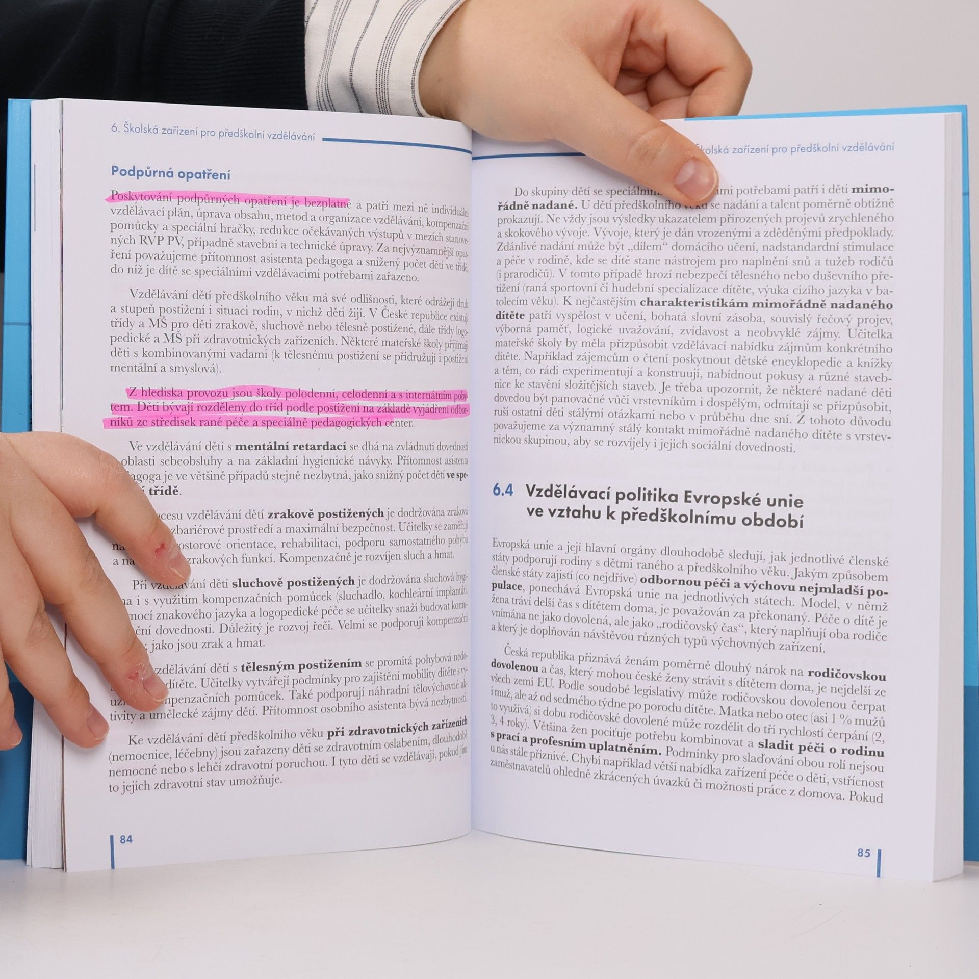 Eva Stodůlková Průvodce předškolní pedagogikou