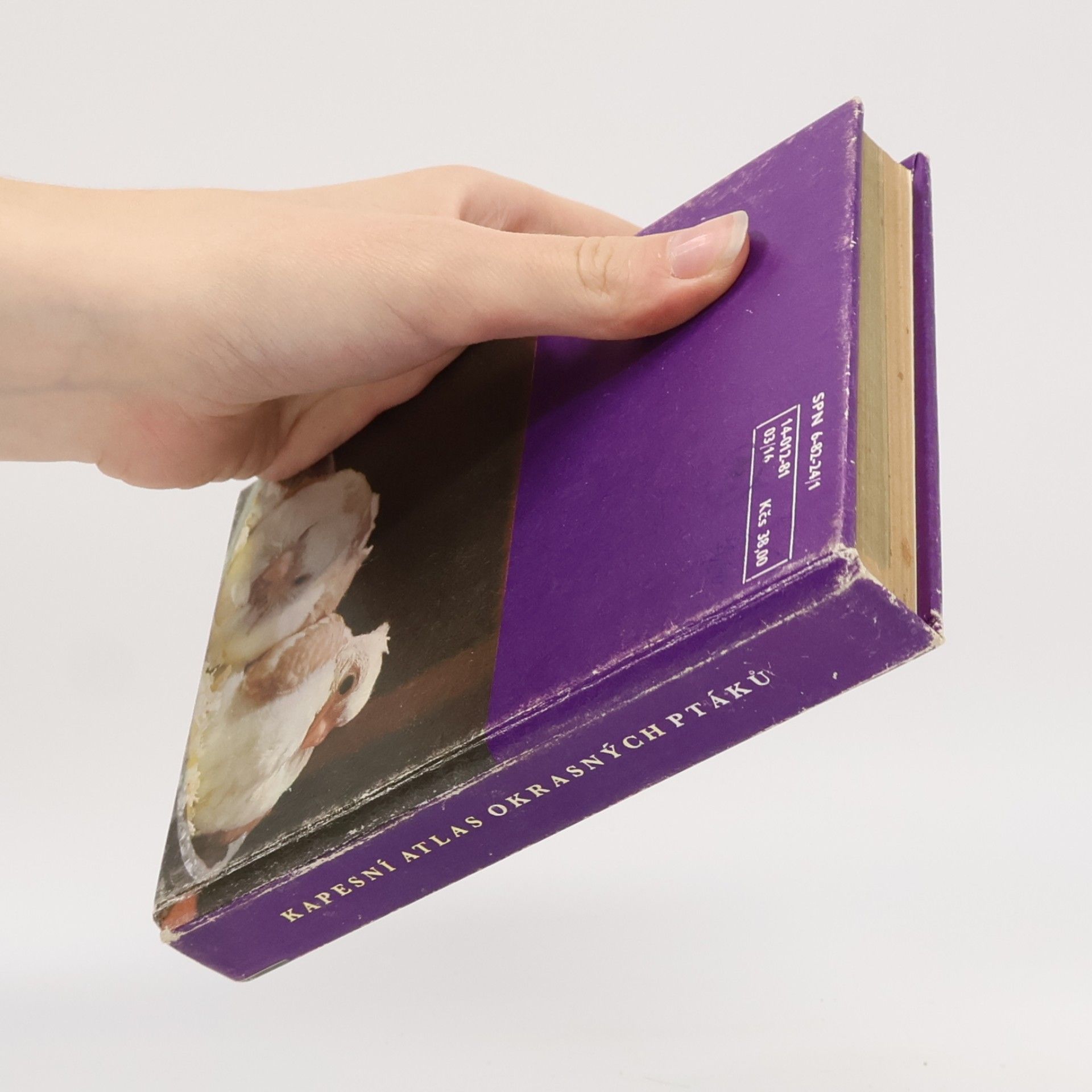 Zdeněk Veger Kapesní atlas okrasných ptáků