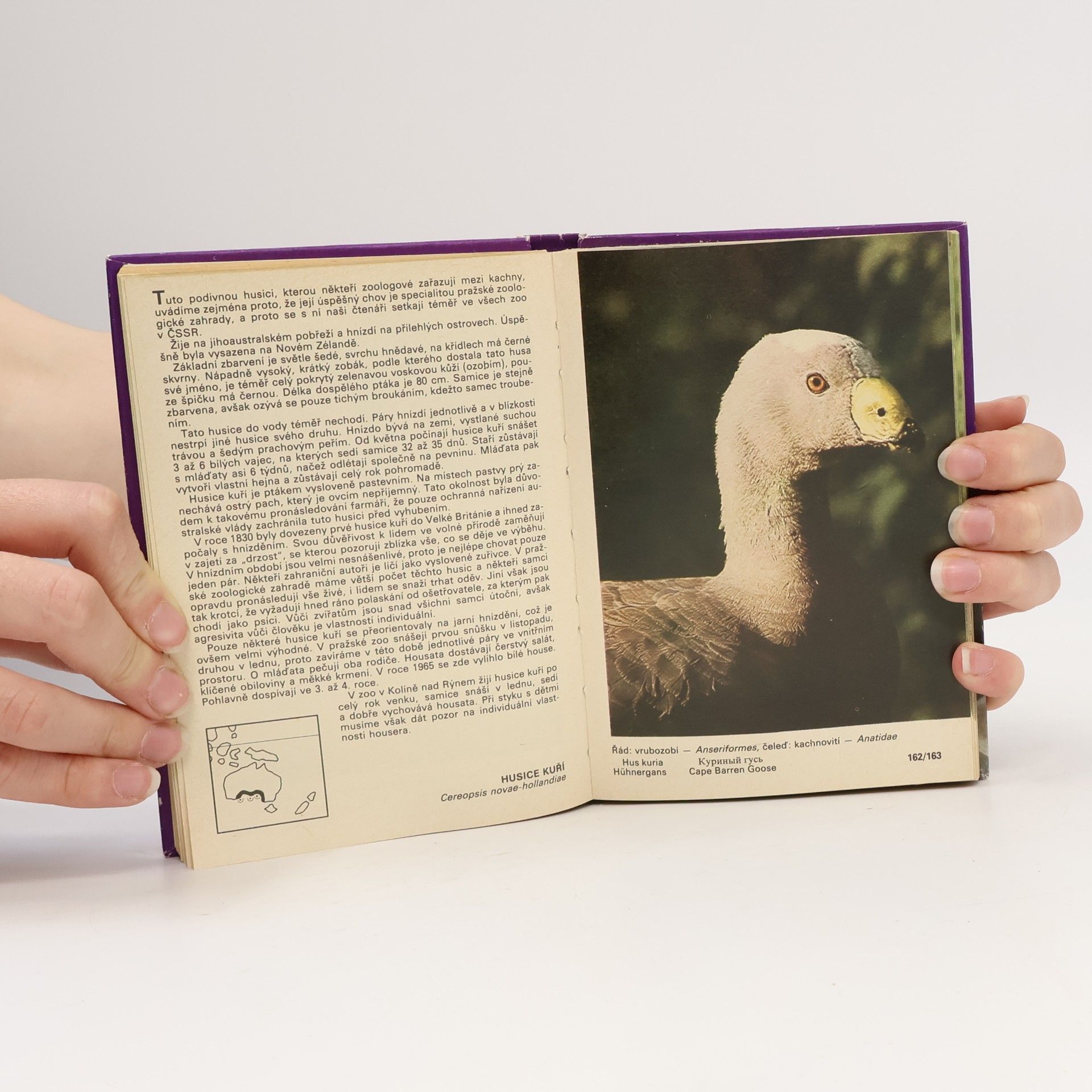 Zdeněk Veger Kapesní atlas okrasných ptáků