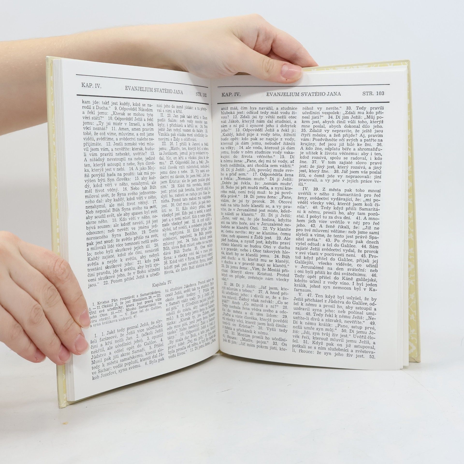 Ivan Soukup Bible: Svatováclavská evangelia