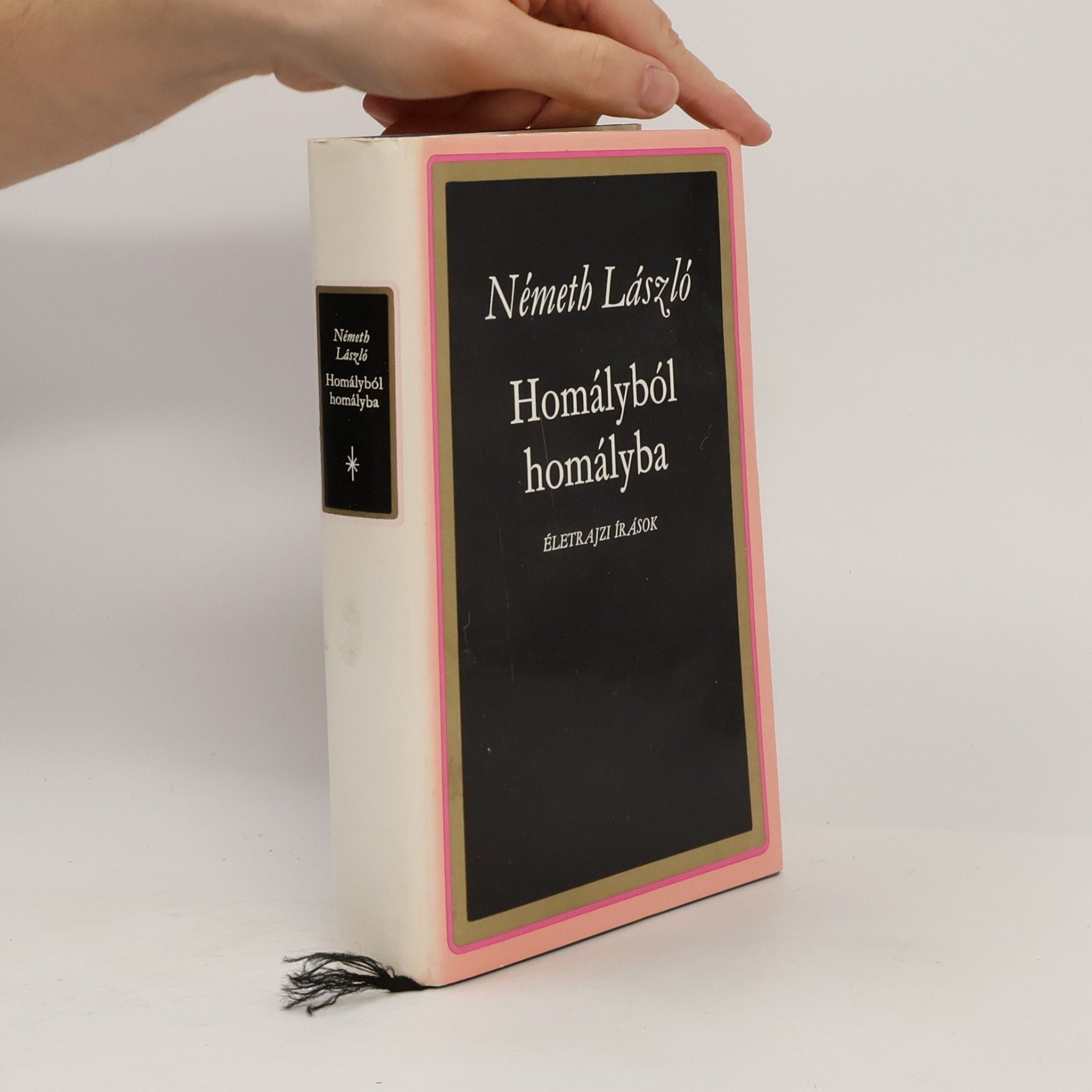Németh László Homályból homályba
