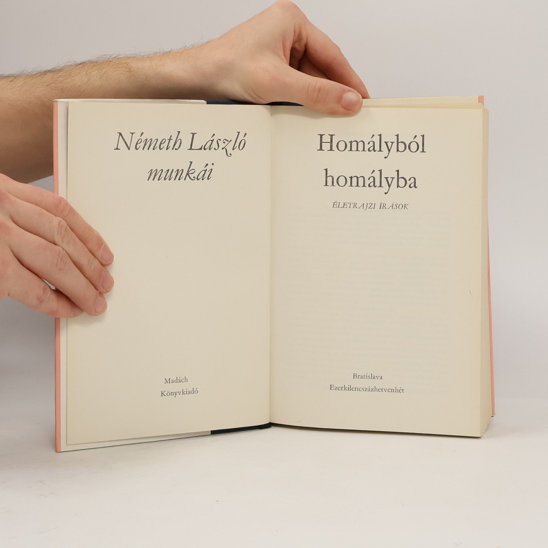 Németh László Homályból homályba