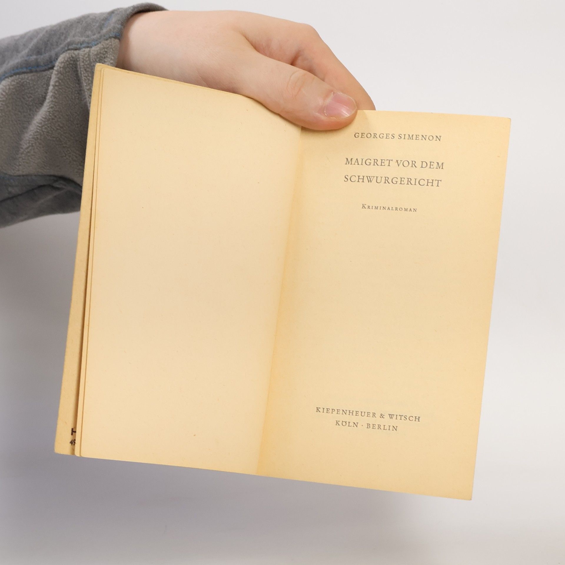 Georges Simenon Maigret vor dem Schwurgericht