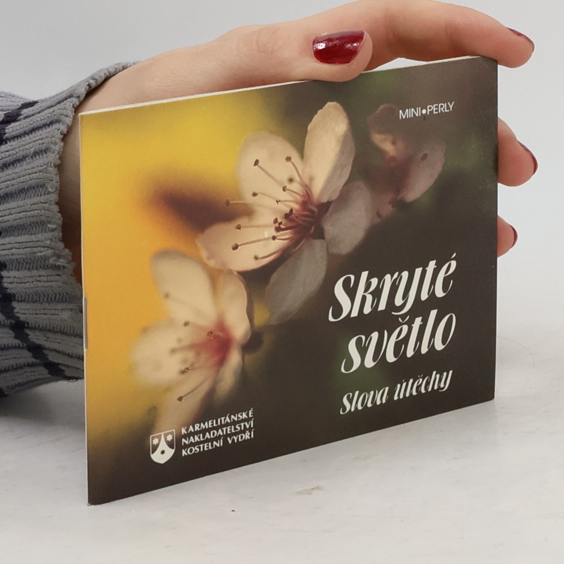 Kolektiv autorů Skryté světlo
