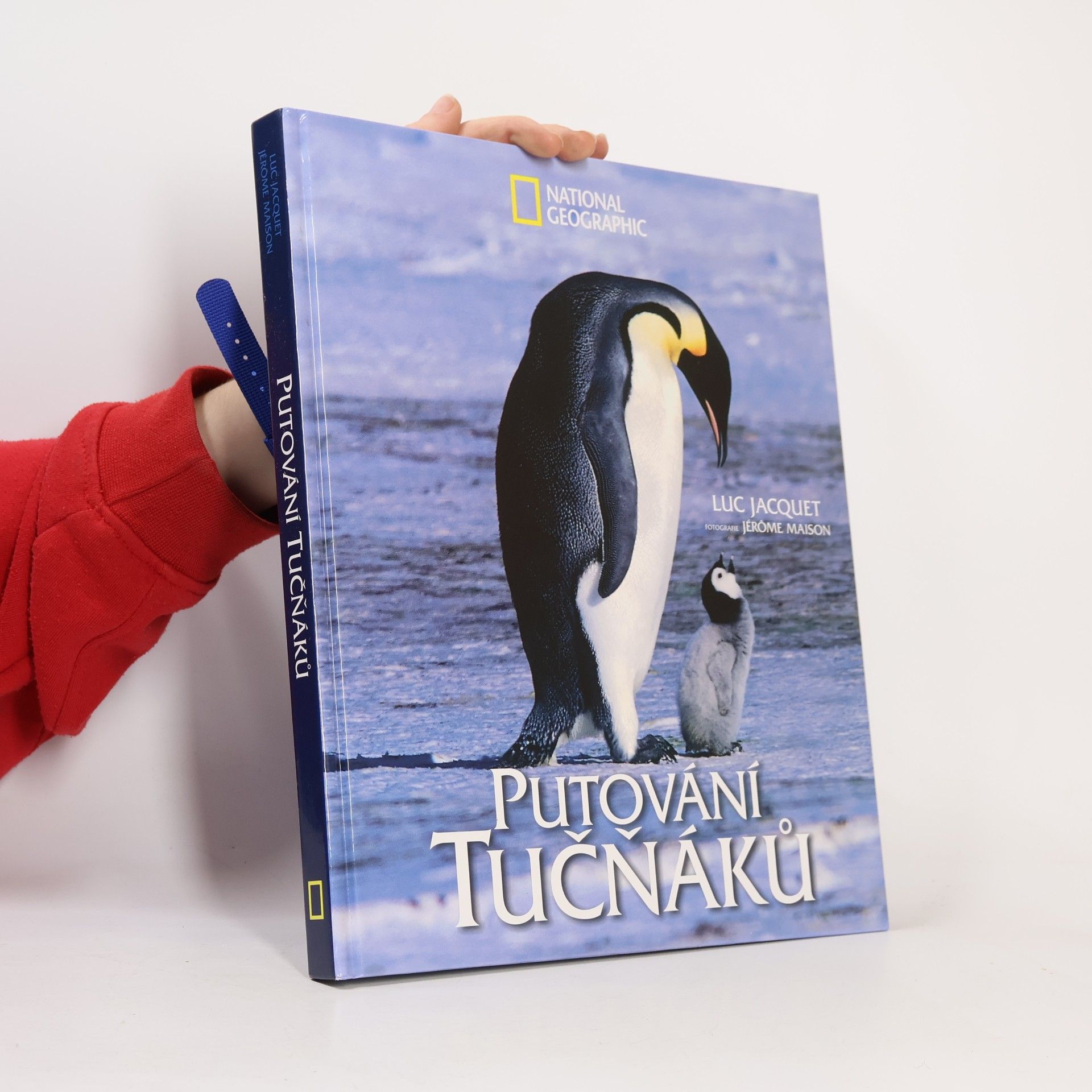 Putování tučňáků