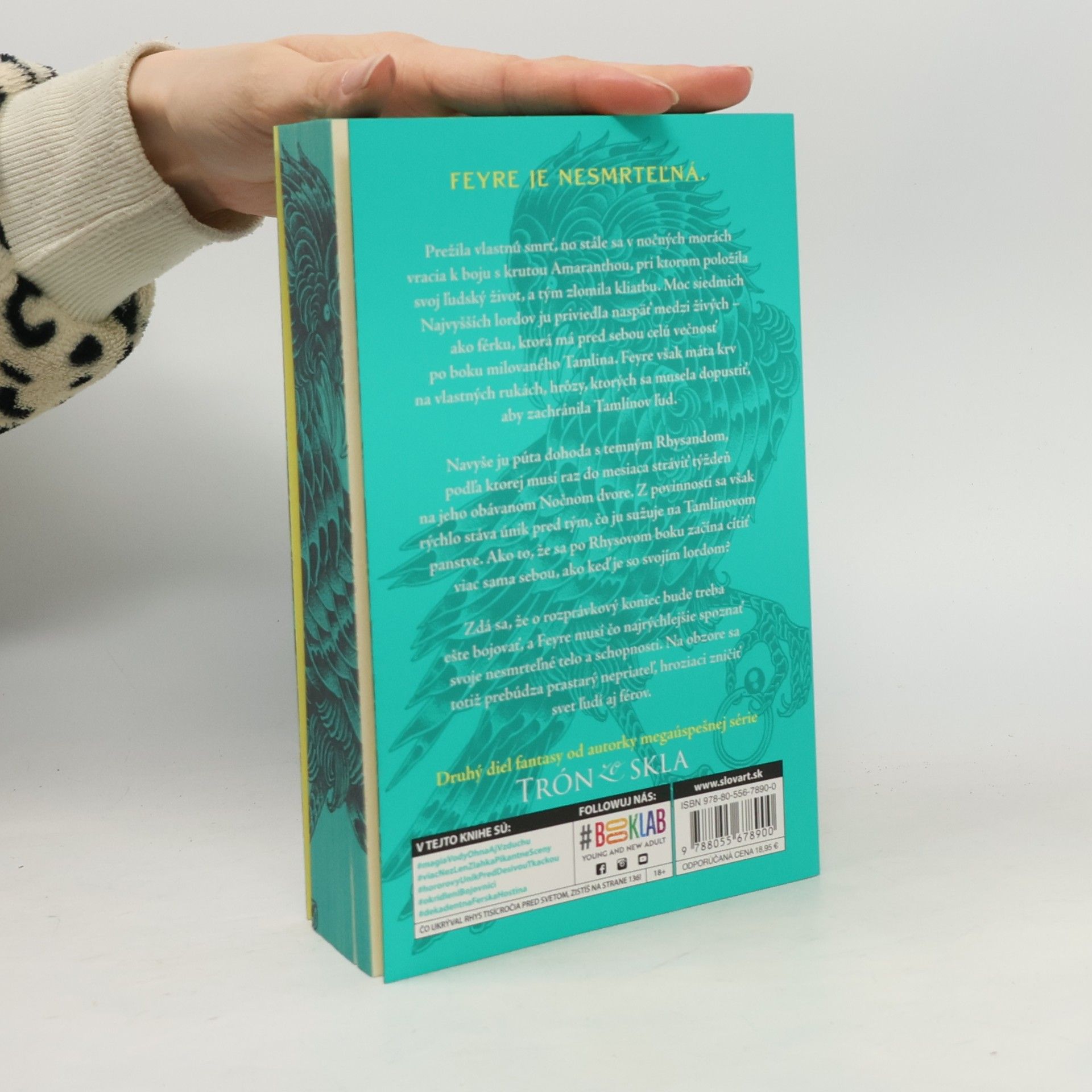 Sarah J. Maas Na dvore z hmly a besu 2
