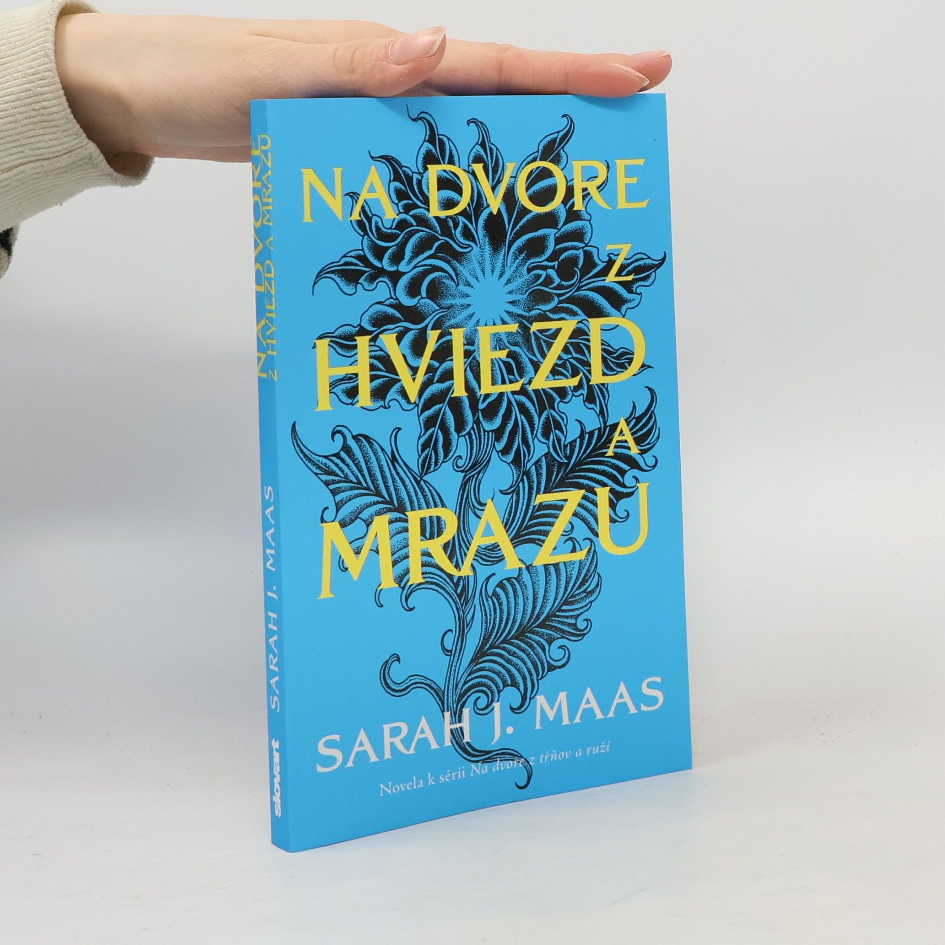 Sarah J. Maas Na dvore z hviezd a mrazu