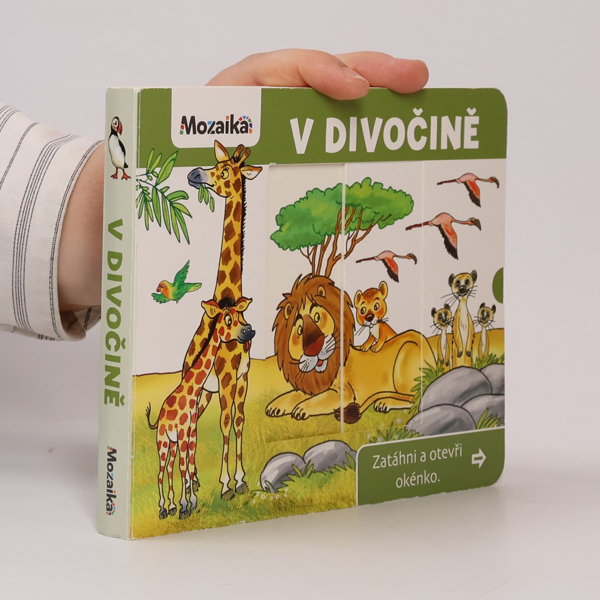 Antonín Šplíchal V divočině
