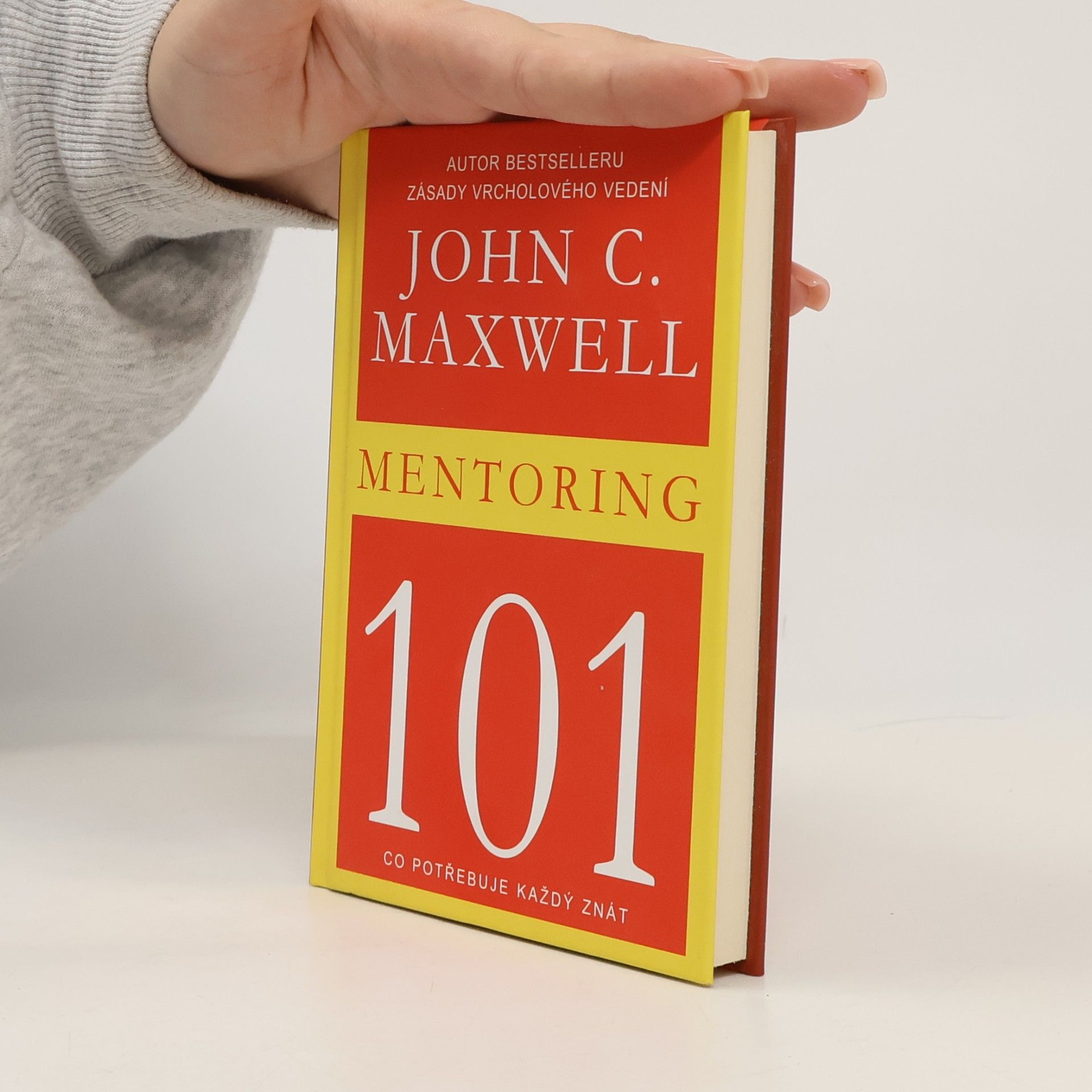 Mentoring 101 : co potřebuje každý znát