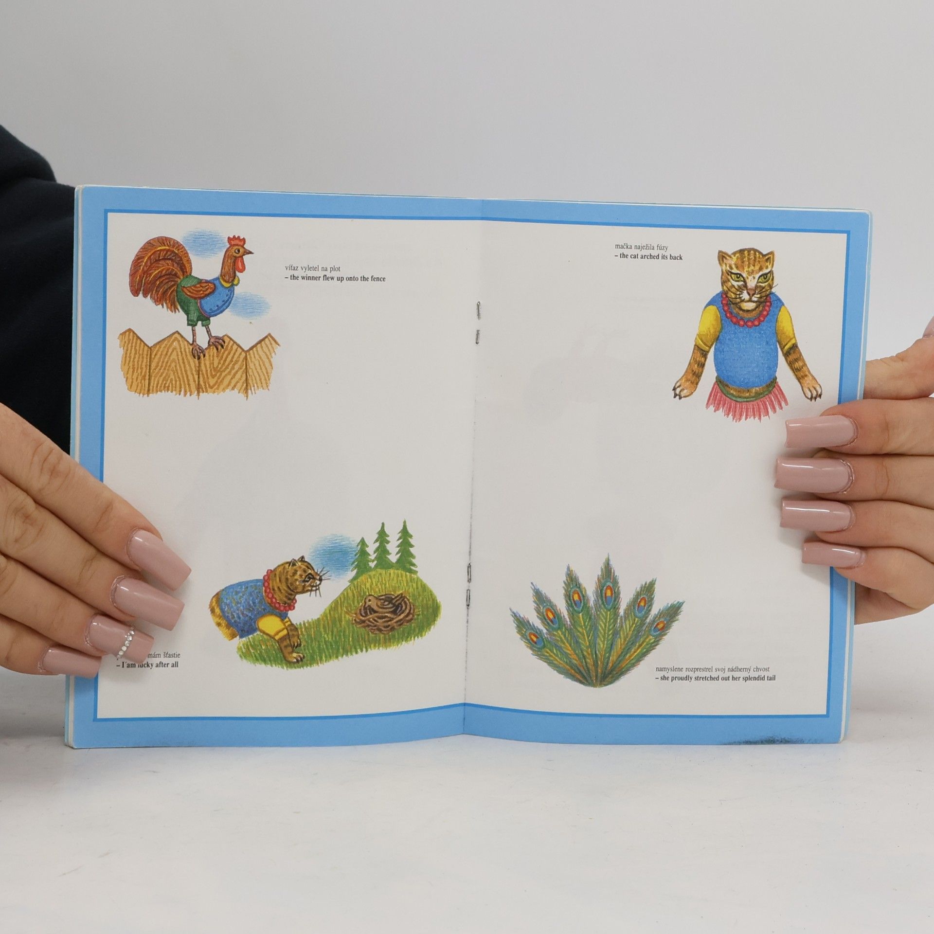 Ezop Aesop's Fables