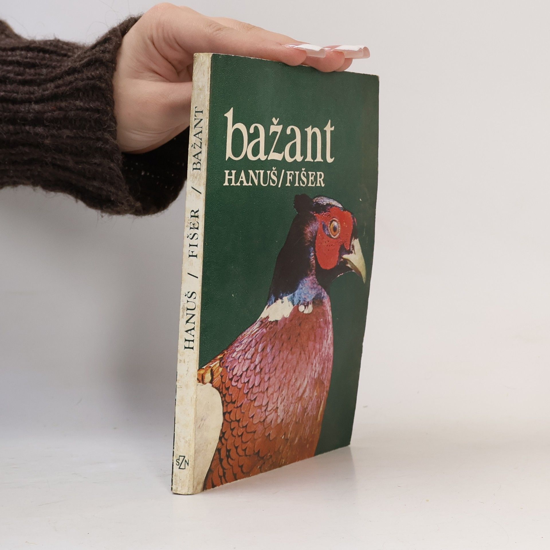 Bažant