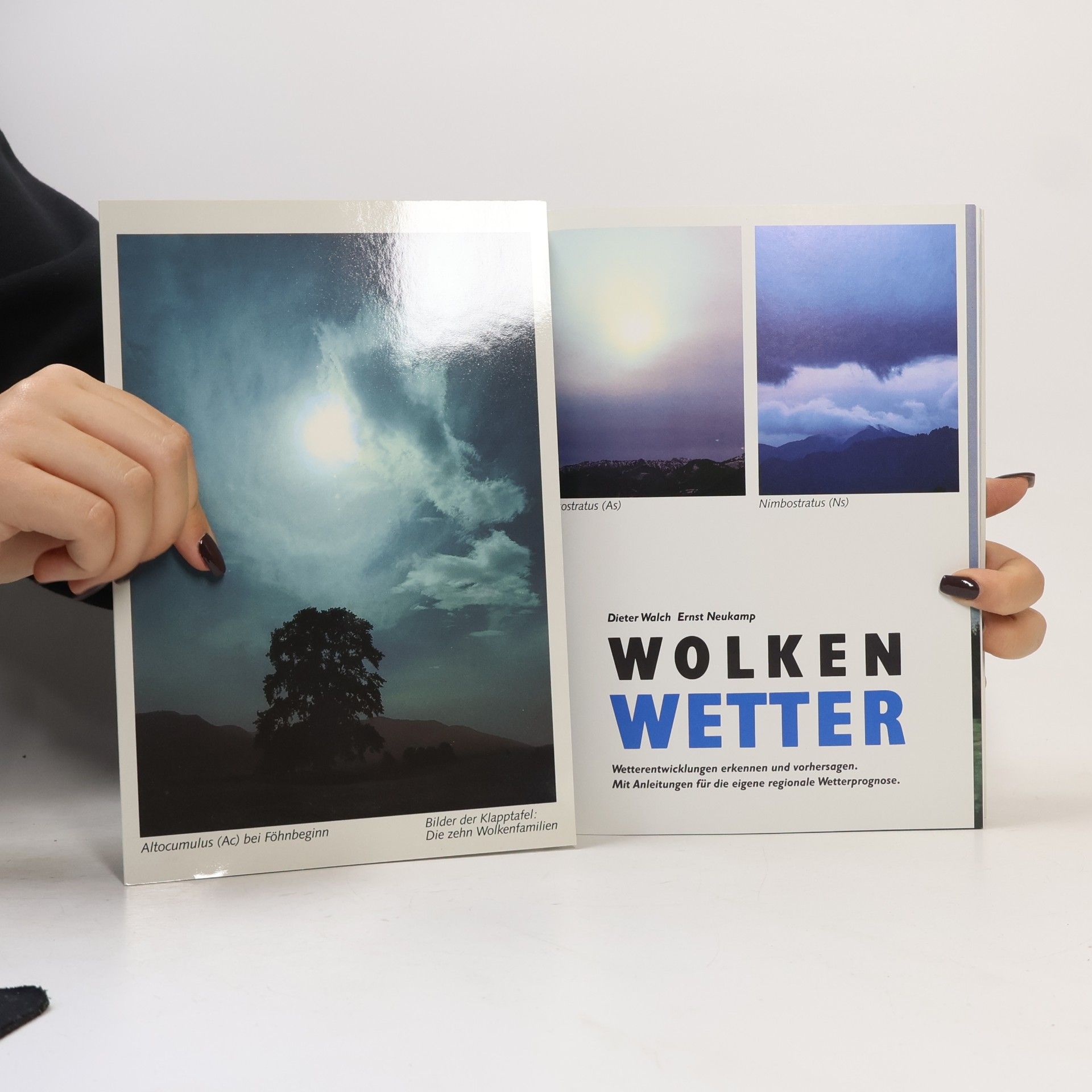 Ernst Neukamp Wolken Wetter
