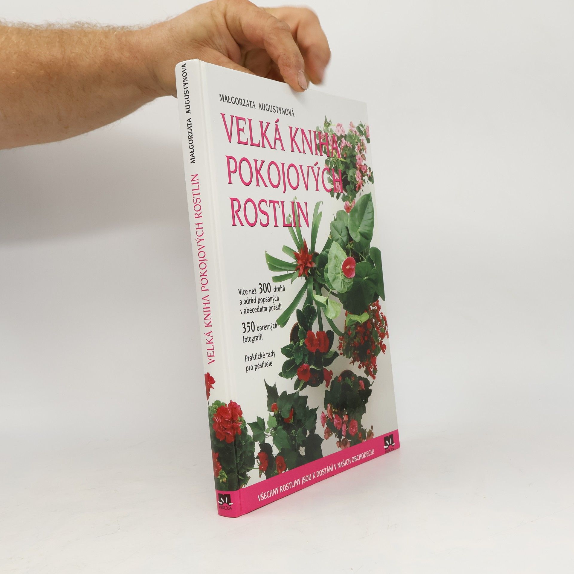 Małgorzata Augustyn Velká kniha pokojových rostlin