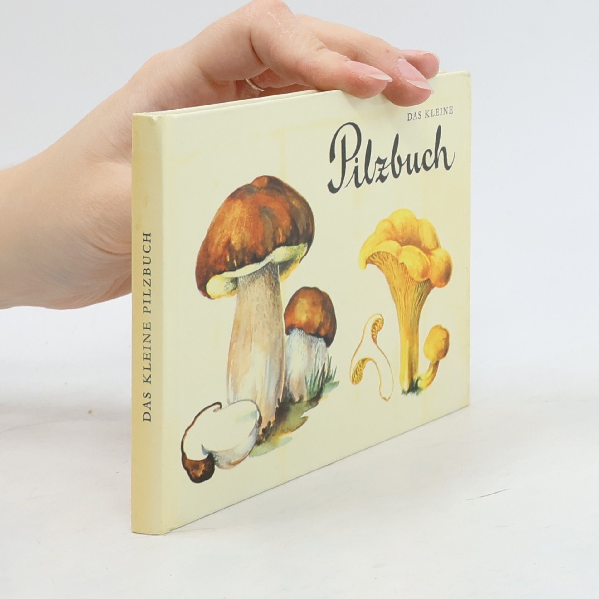 Various authors Das kleine Pilzbuch