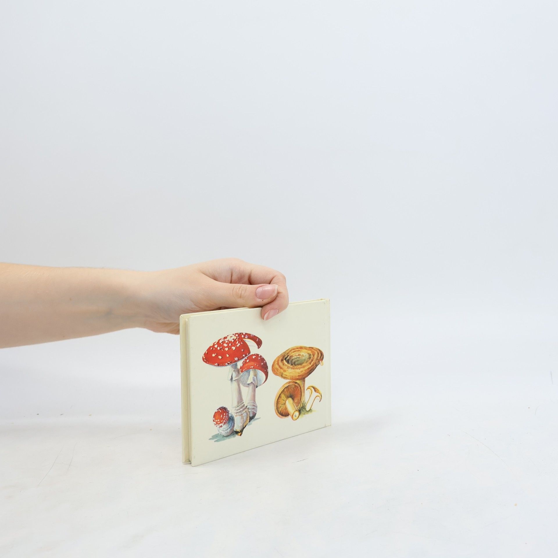 Various authors Das kleine Pilzbuch