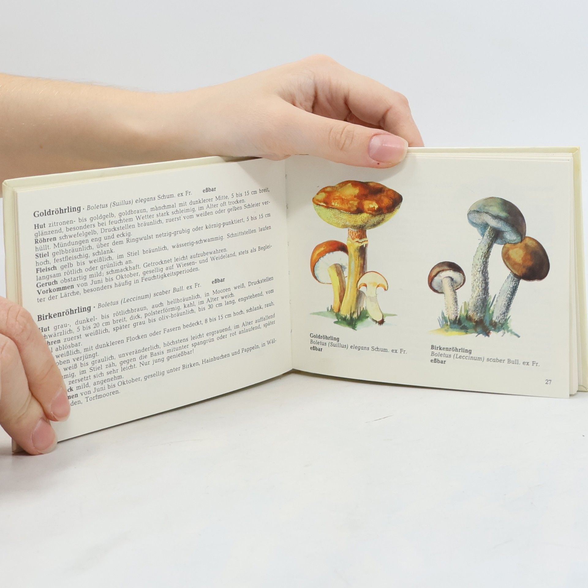 Various authors Das kleine Pilzbuch