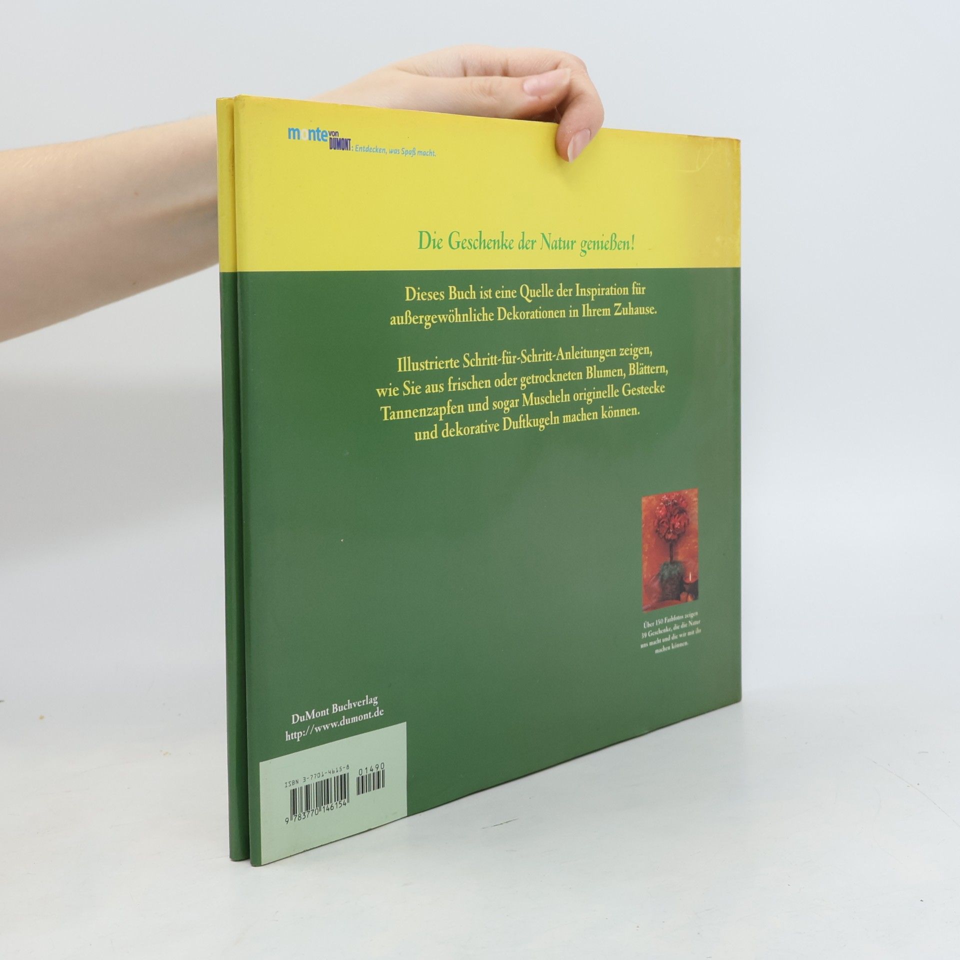 Jollands Beverley Geschenke der Natur - Dekorationen und Gestecke