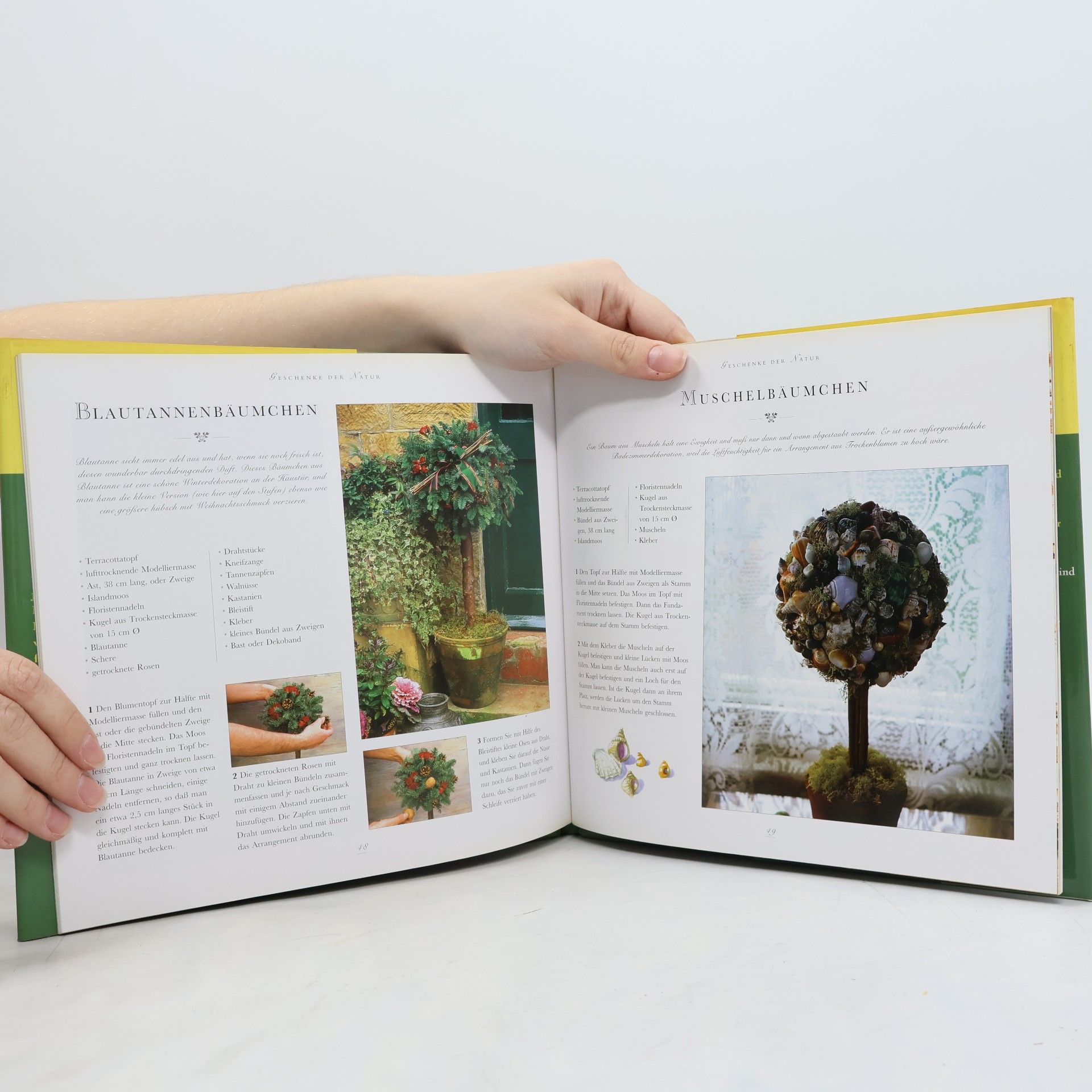 Jollands Beverley Geschenke der Natur - Dekorationen und Gestecke