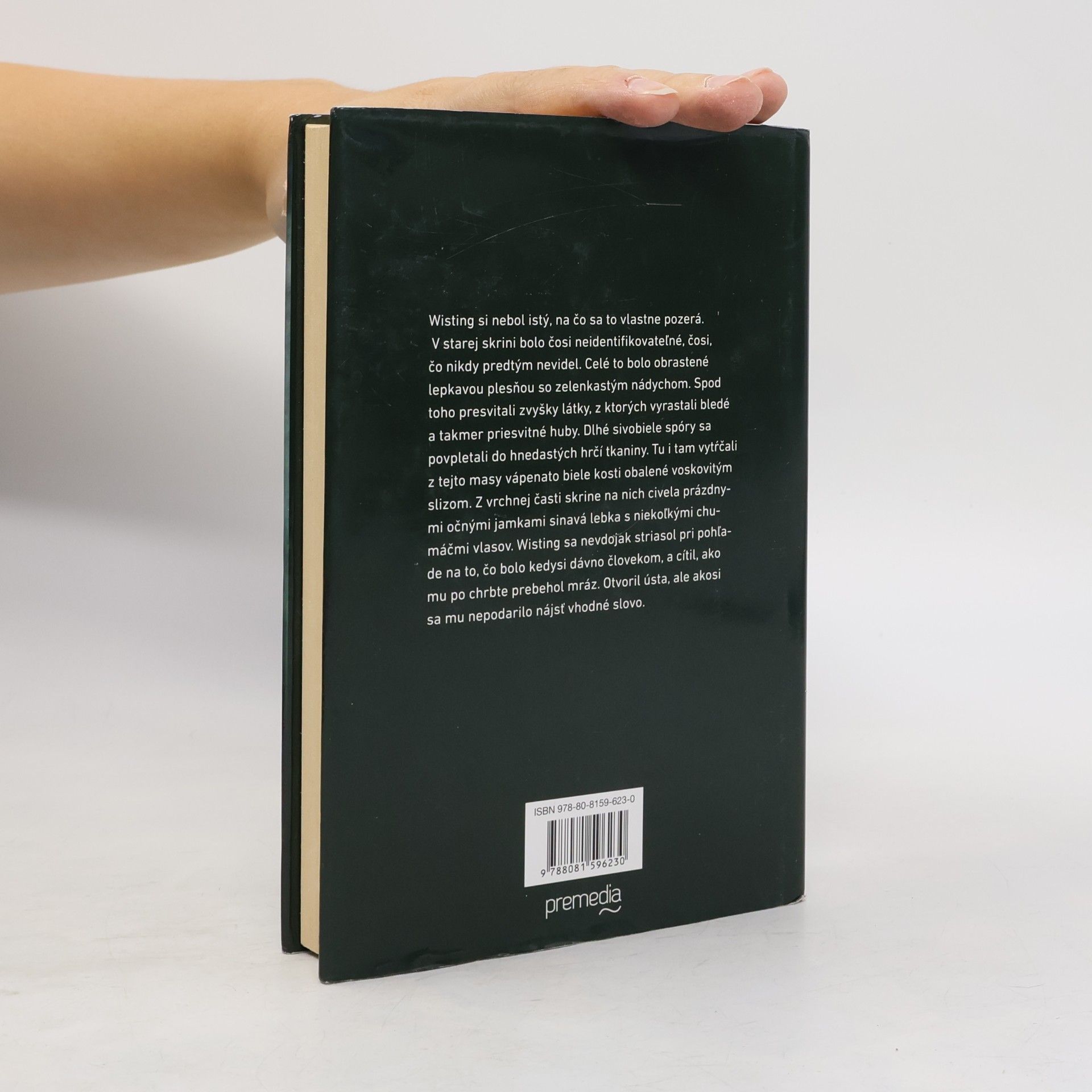 Jorn Lier Enger Thomas Horst Zmiznutie Felicie