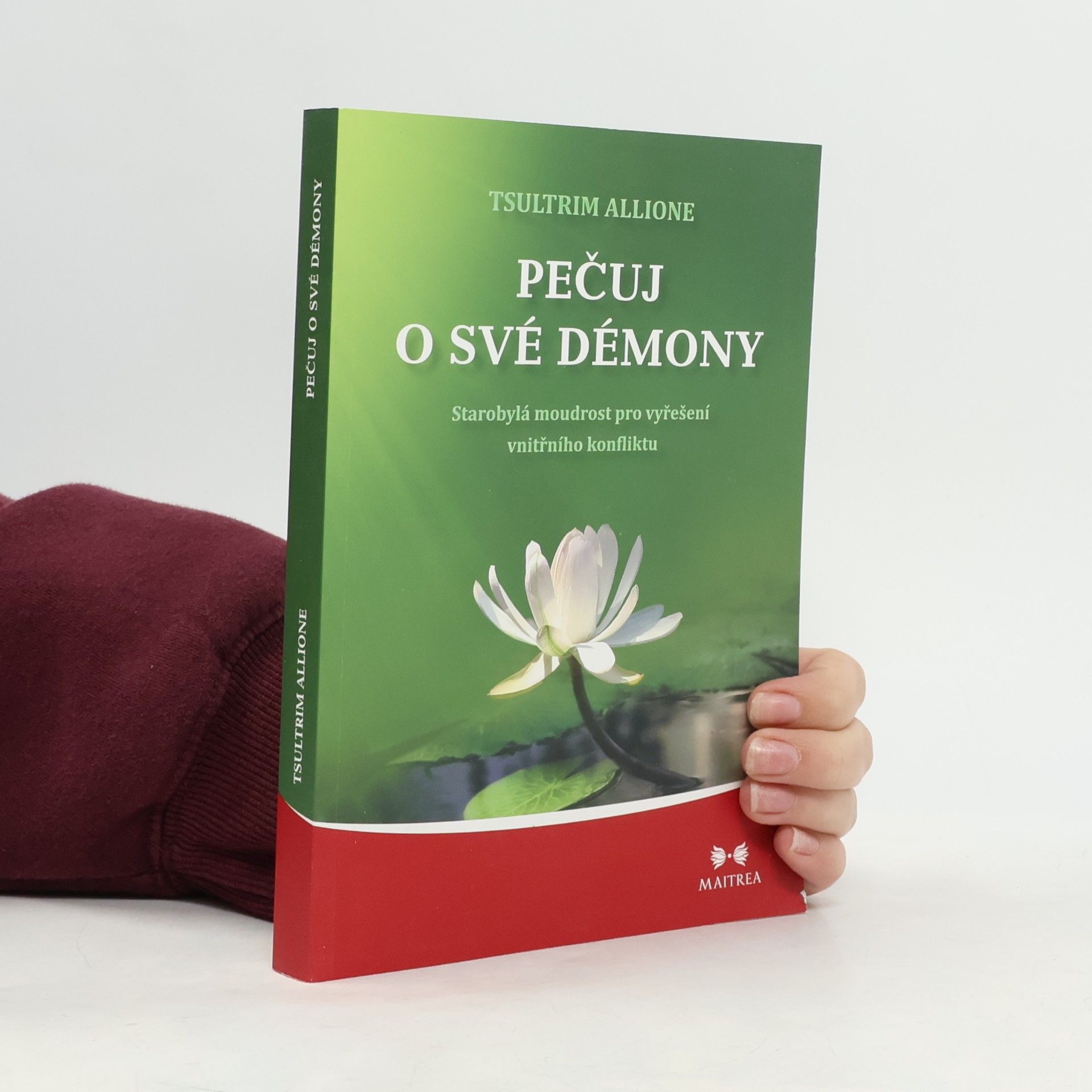 Tsultrim Allione Pečuj o své démony. Starobylá moudrost pro vyřešení vnitřního konfliktu