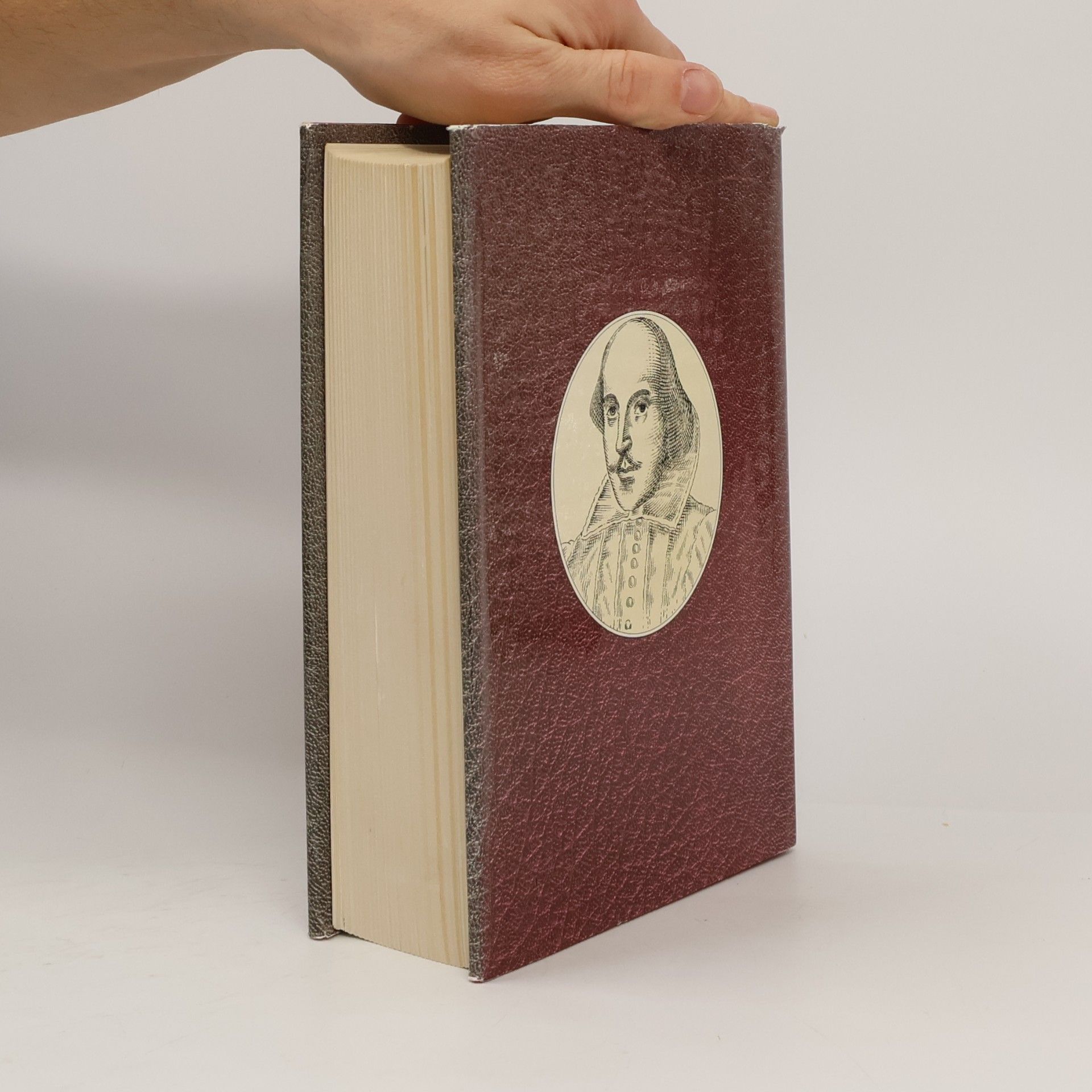 Kolektiv autorů The Illustrated Stratford Shakespeare